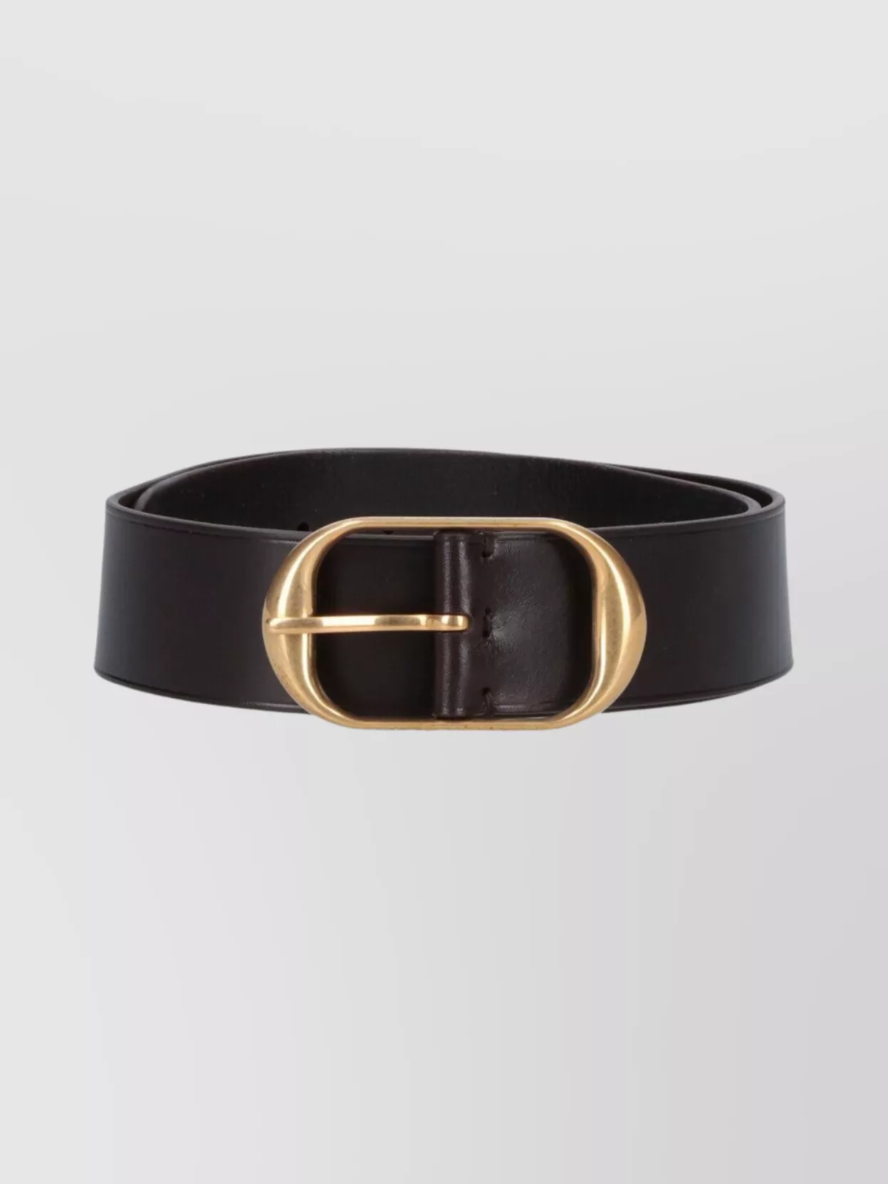 Nili Lotan Adjustable Smooth Finish Belt With Gold-Tone Buckle