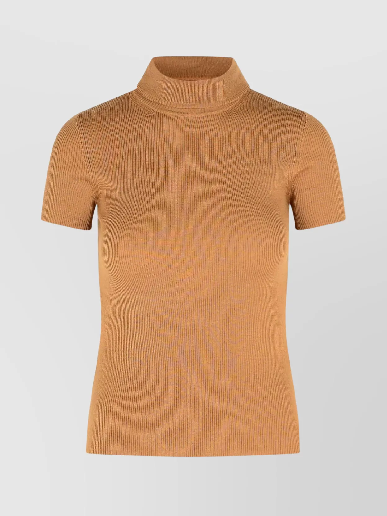 Max Mara Knitwear Turtleneck Sweater Short Sleeves In Neutral