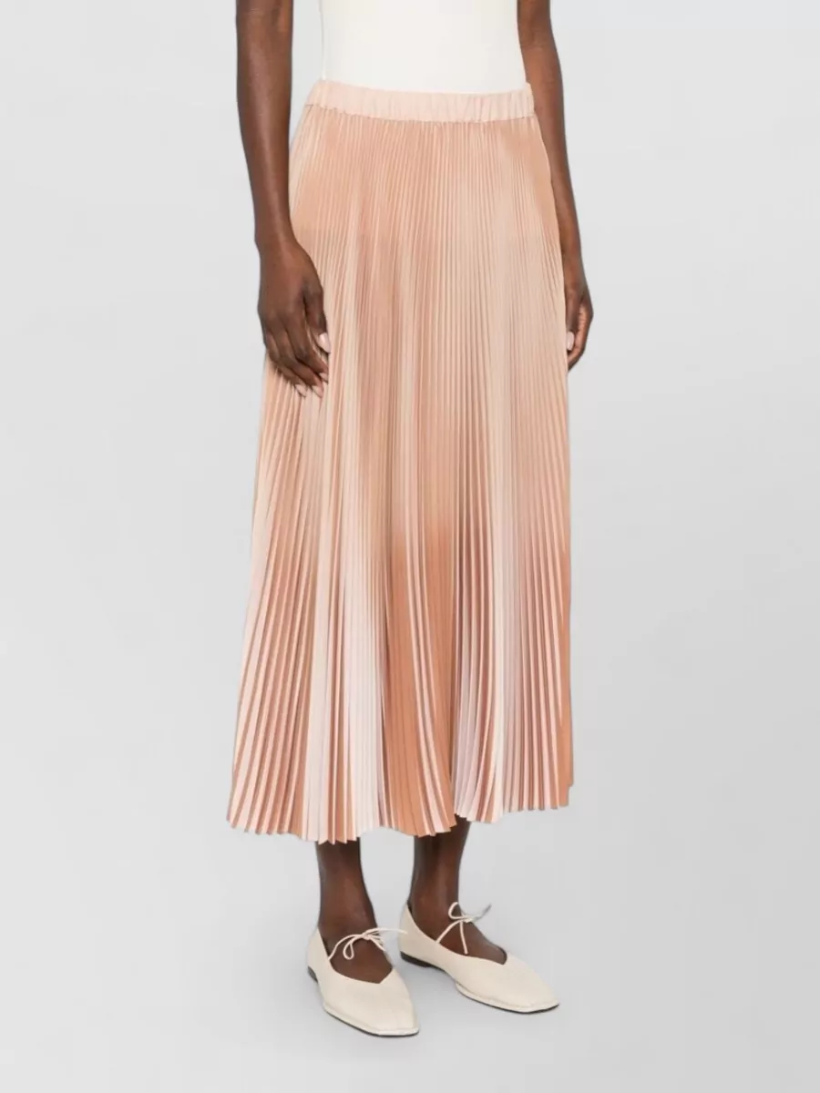 Fabiana Filippi Midi Skirt Ombre Effect Pleated Design