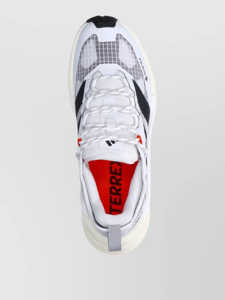 Adidas Low-Top Sneakers