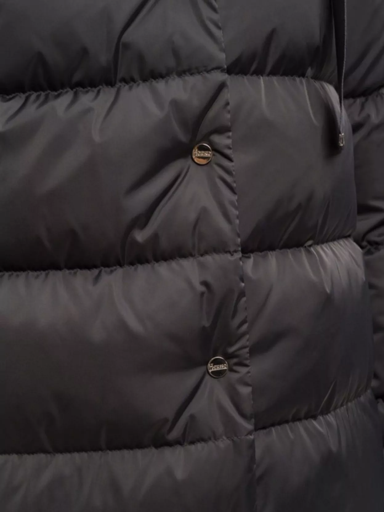 Herno Luxe Satin Padded Jacket With High Collar