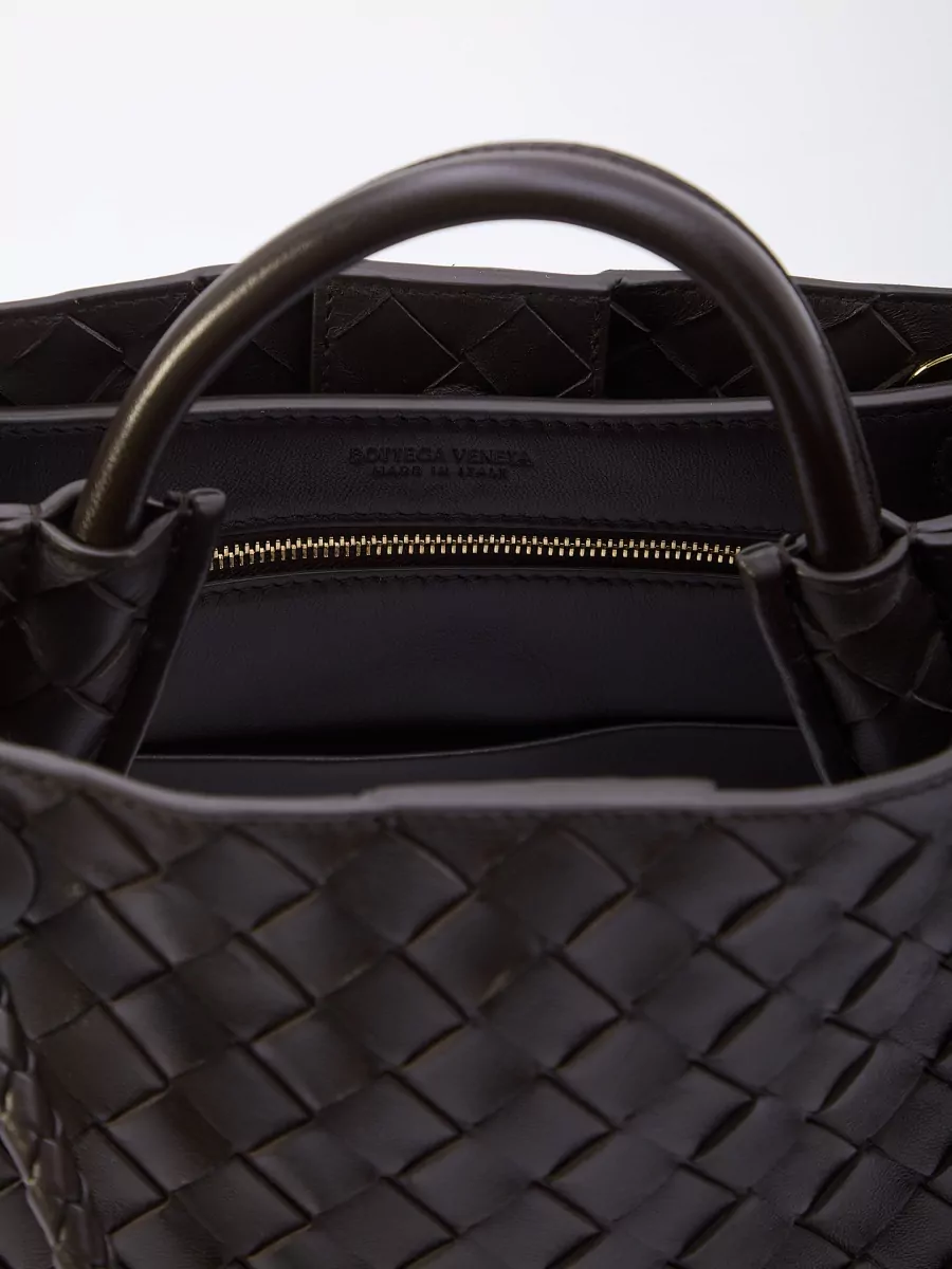 Bottega Veneta Andiamo Small Leather Mini Bag