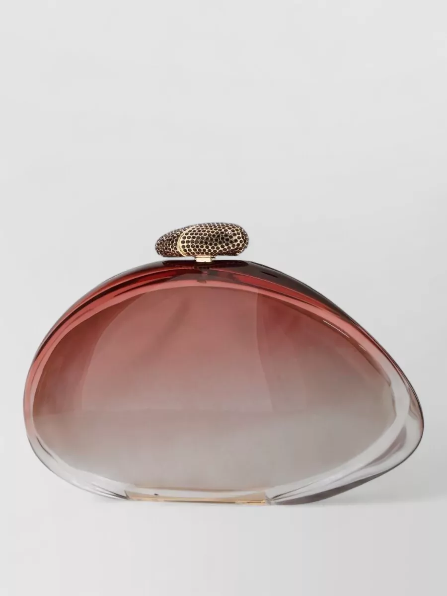 Benedetta Bruzziches methacrylate clutch bag
