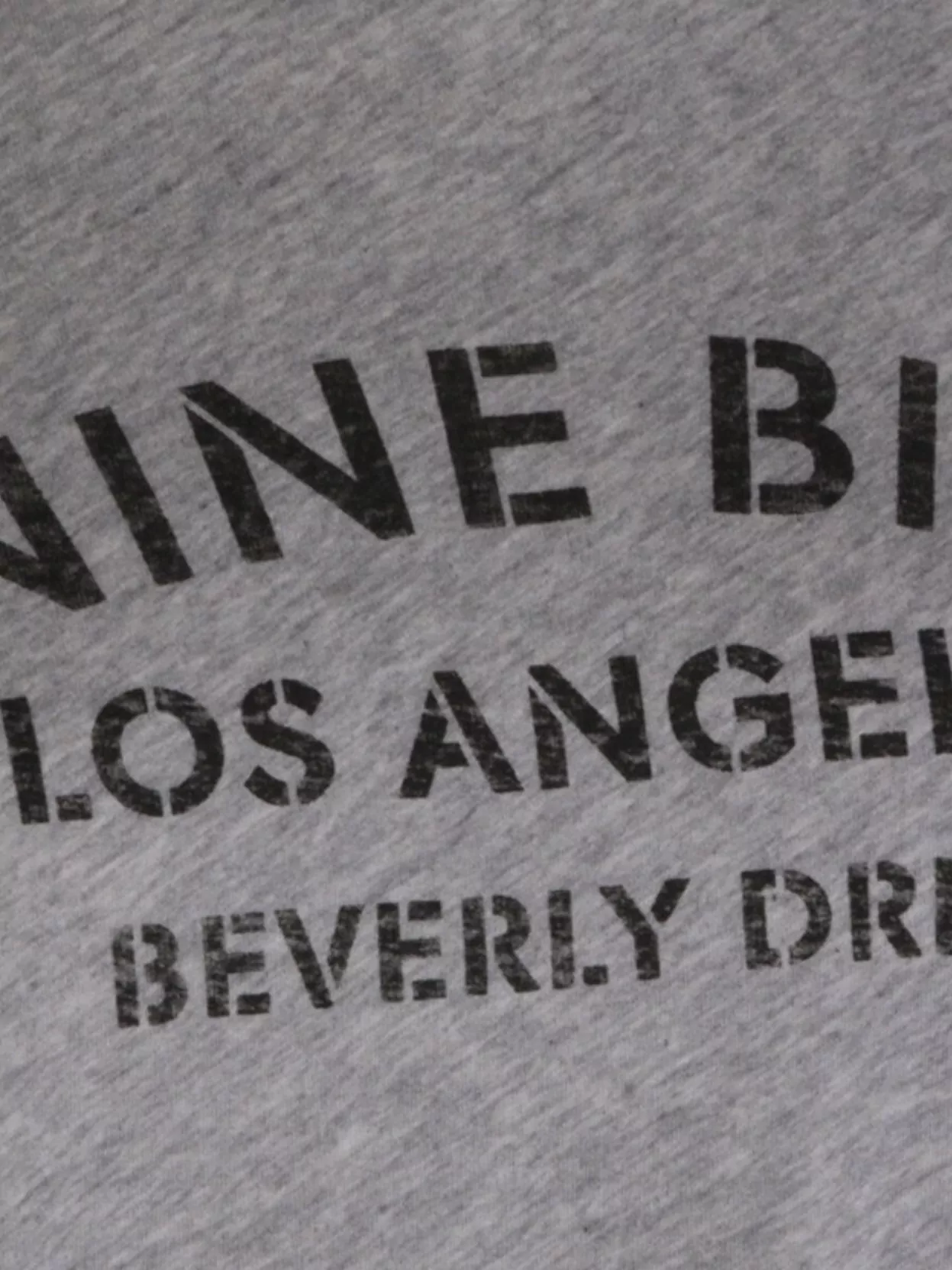 Anine Bing Graphic Print Crew Neck Short Sleeve Top