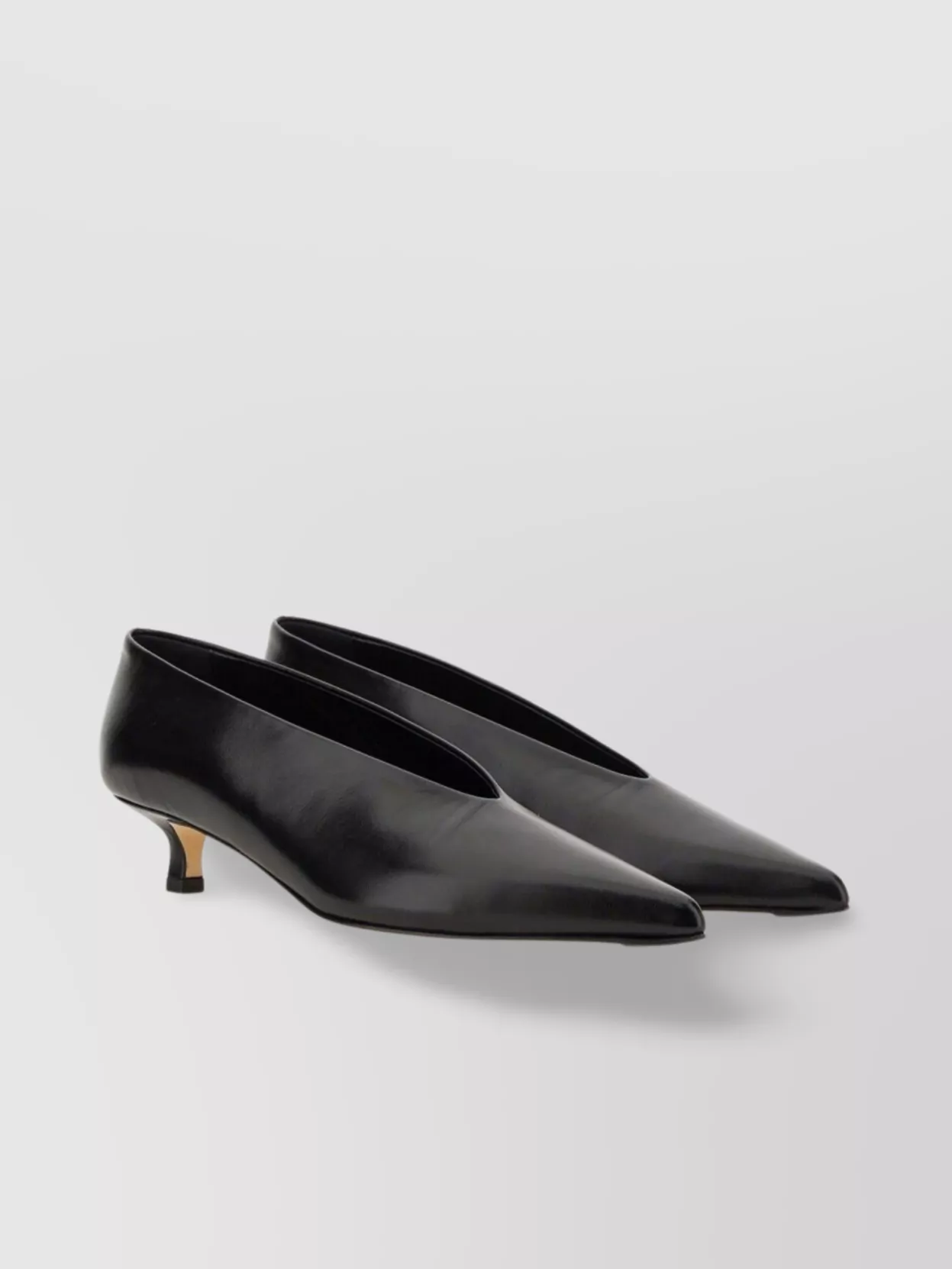 Aeyde "clara" Kitten Heel Pointed Toe Pumps