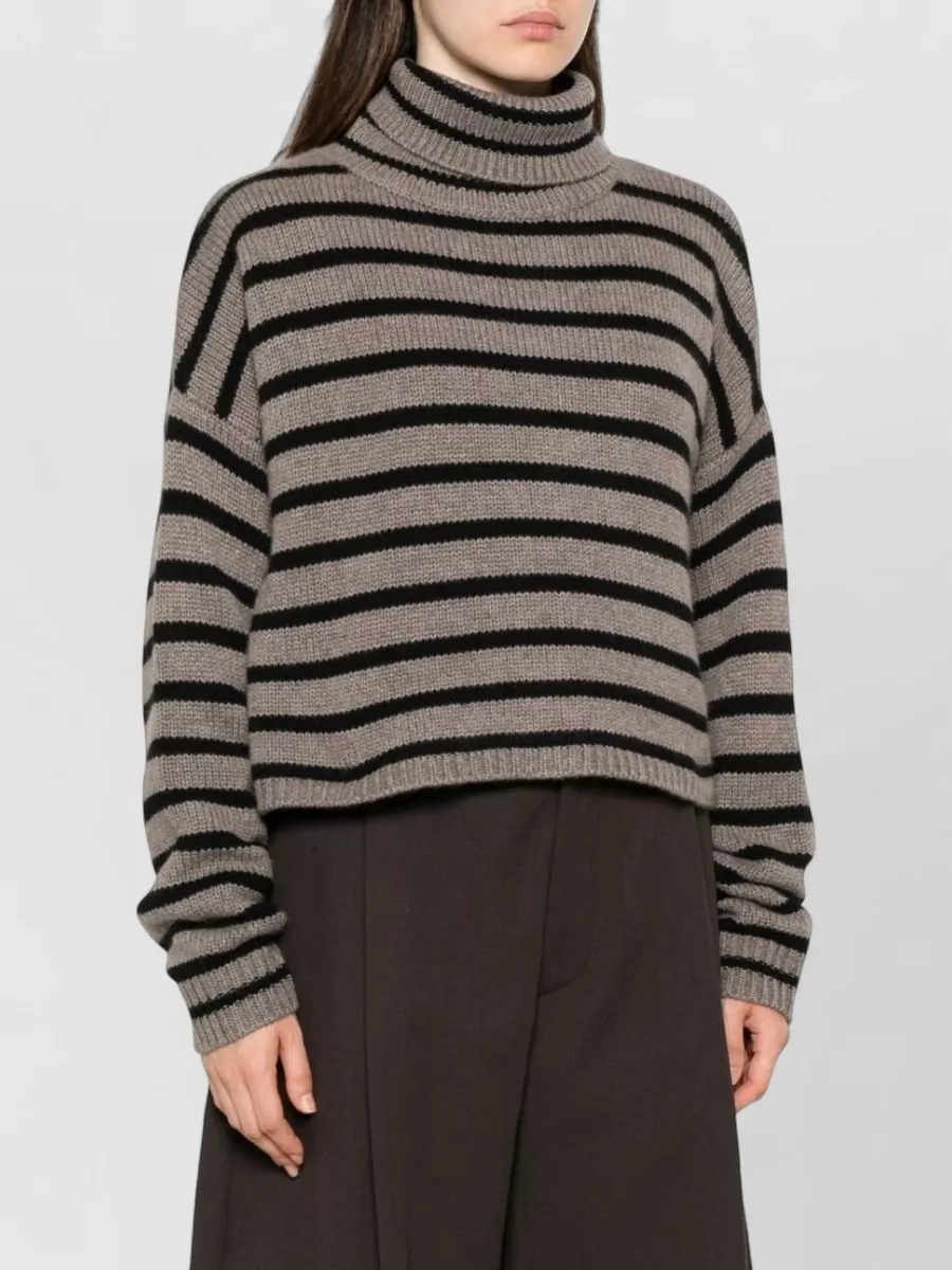 Lisa Yang Striped Ribbed Cashmere Turtleneck Sweater