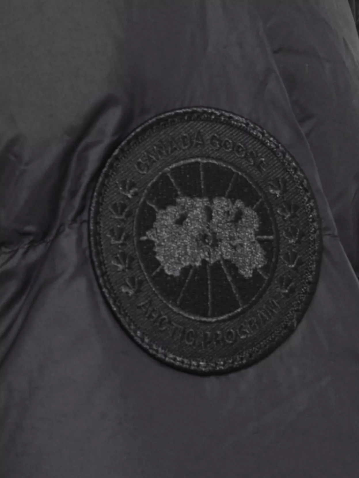 Canada Goose Padded Parka With Hood And Long Sleeves In Black