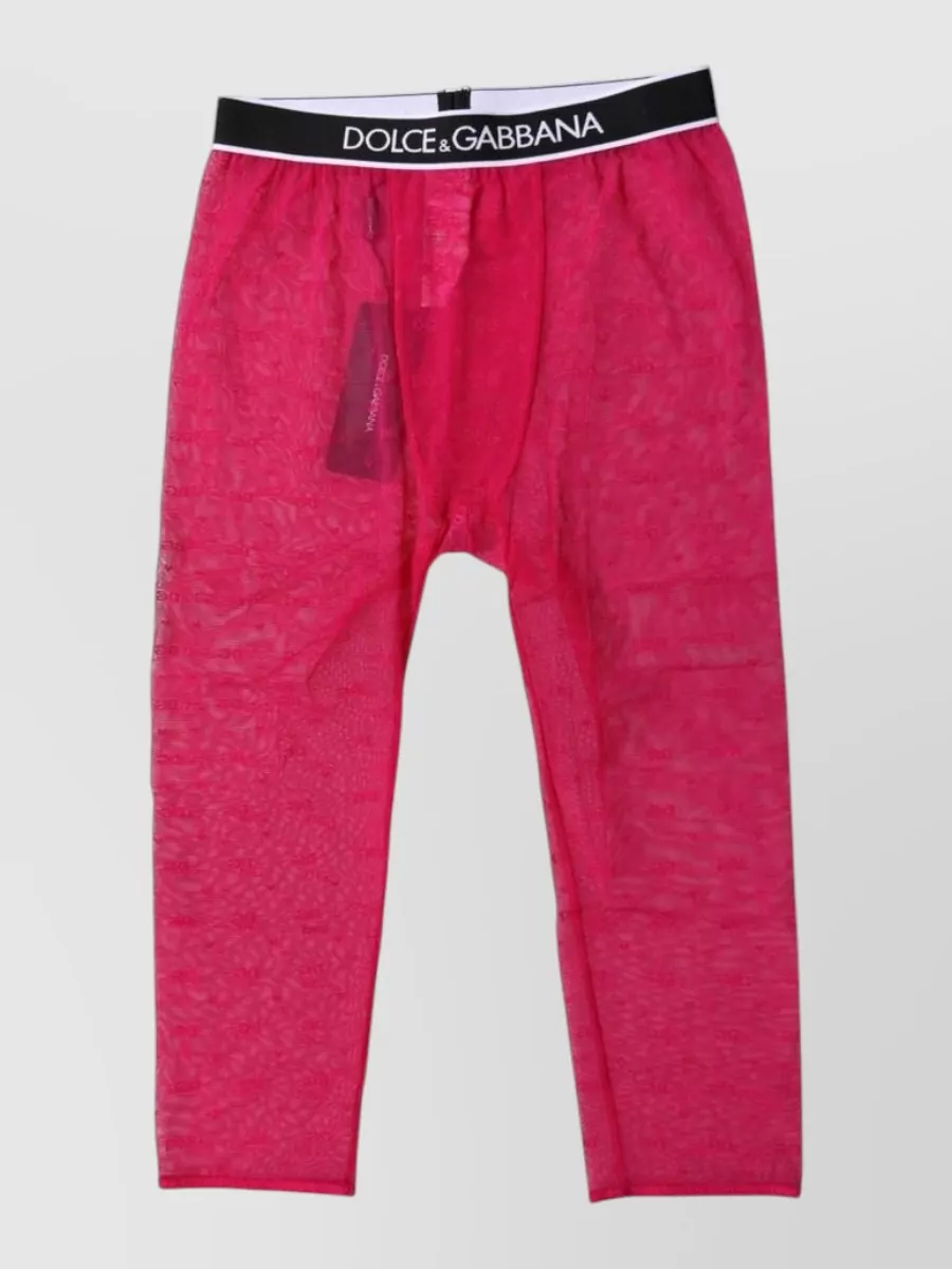 Dolce&Gabbana logo-print cropped tights