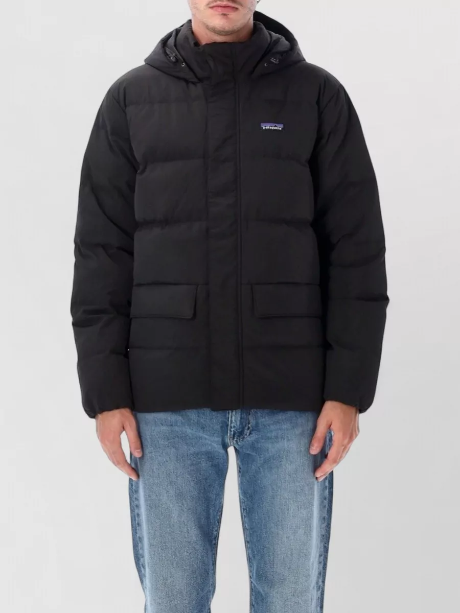 Patagonia down hooded puffer jacket