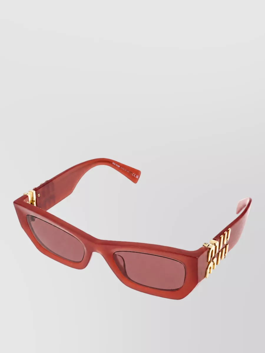 Miu Miu Acetate Sunglasses