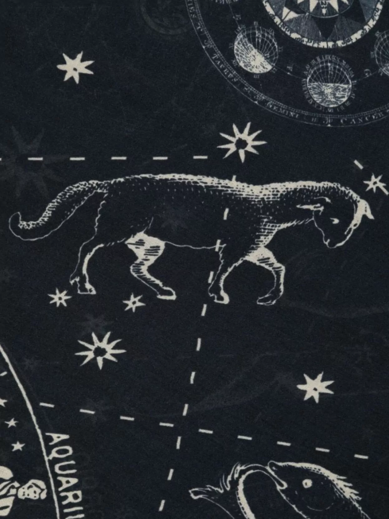 Faliero Sarti Zodiac Pattern Rectangular Scarf In Multi