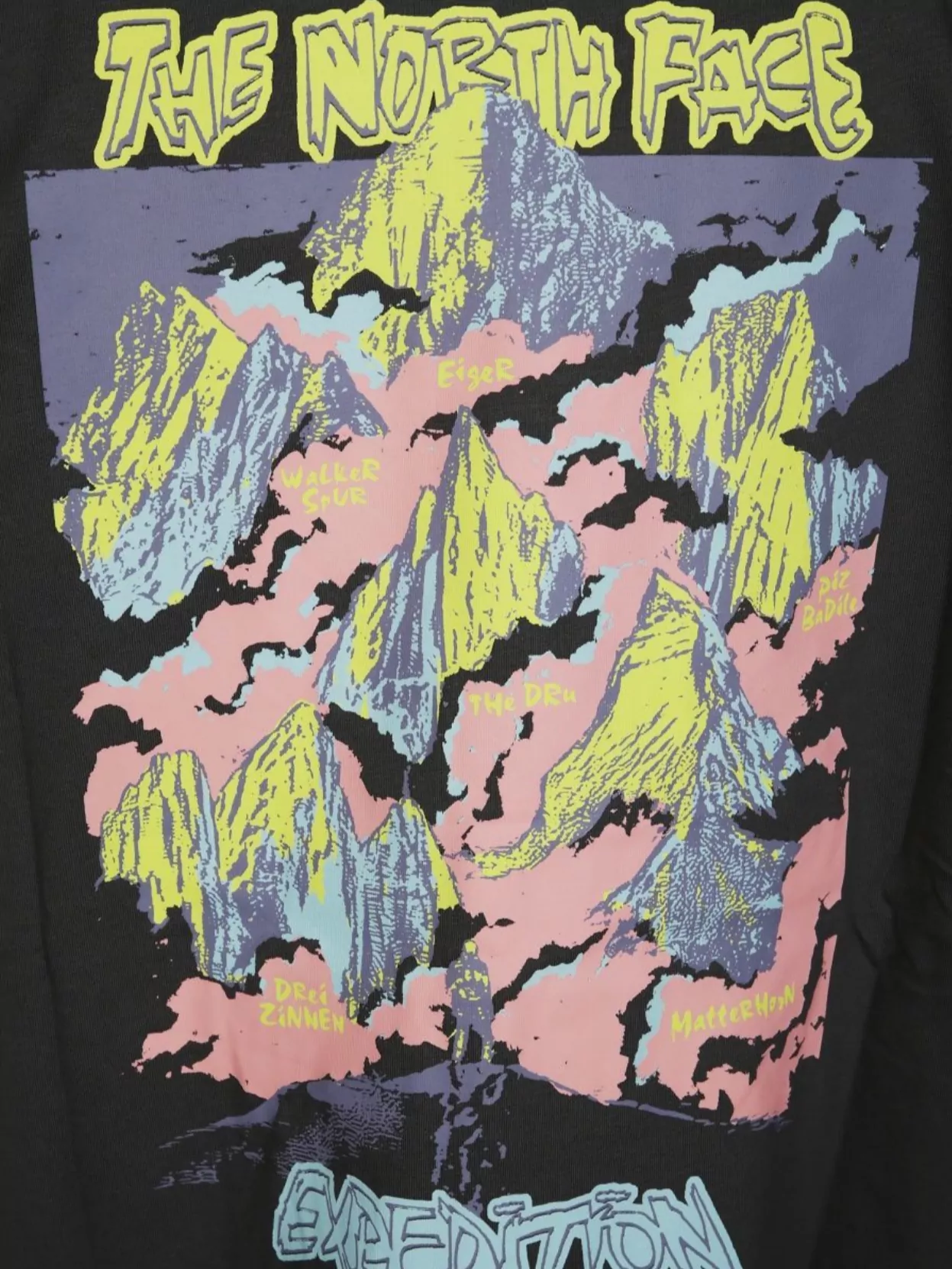 The North Face Expedition Celebration Oversized S/St