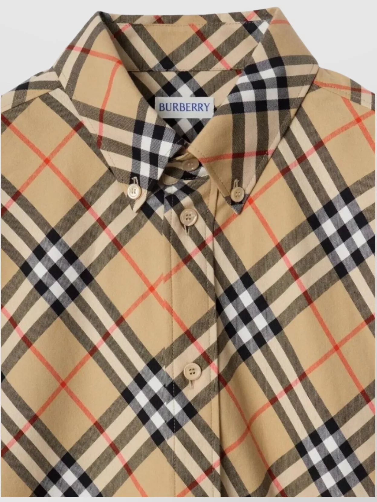 Burberry Roan Relaxed Fit Check Cotton Flannel Shirt Clothing In Gray