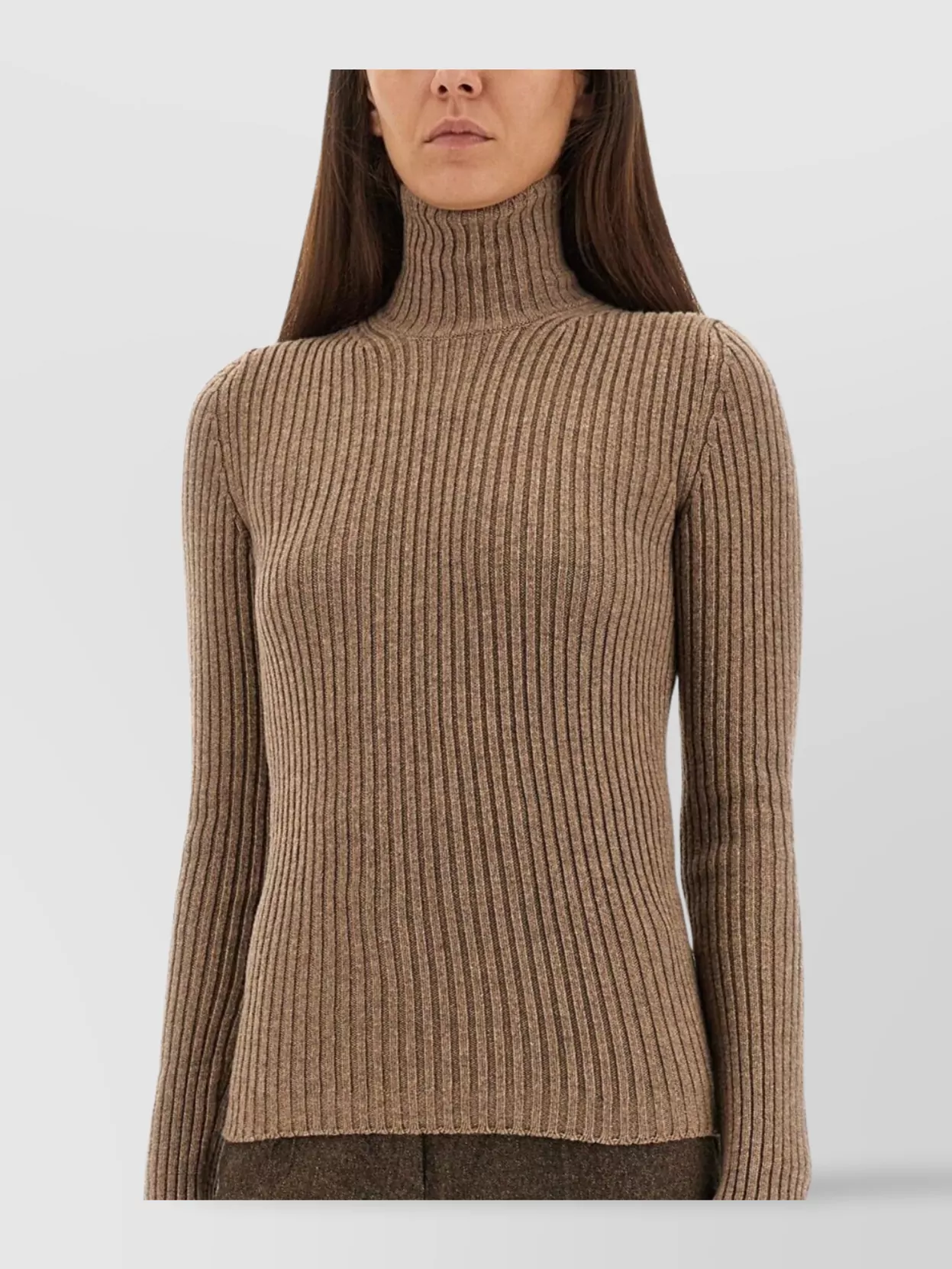 Max Mara Fitted Long Sleeve Turtleneck Knit Sweater In Brown