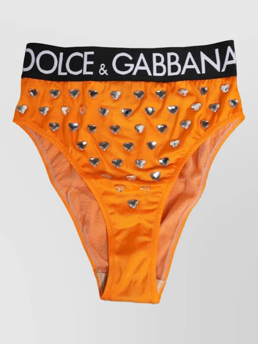 Dolce&Gabbana crystal high-waist bikini briefs