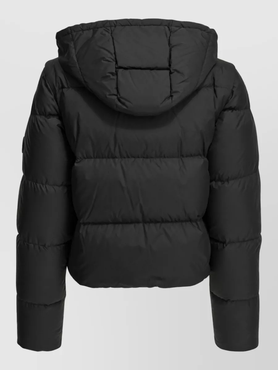 Burberry Down Jacket