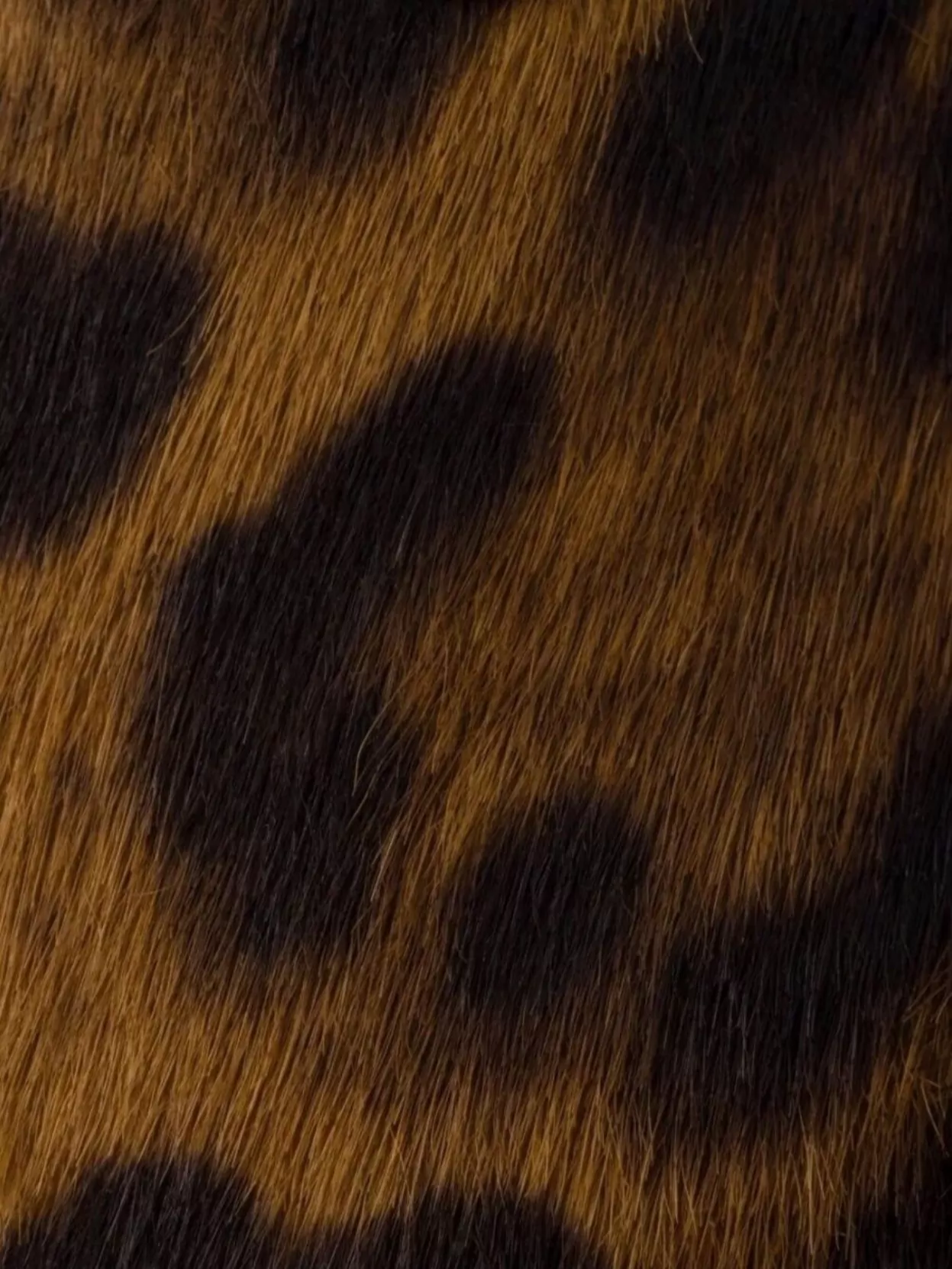 Prada Animal Print Leather Ballerina Shoes