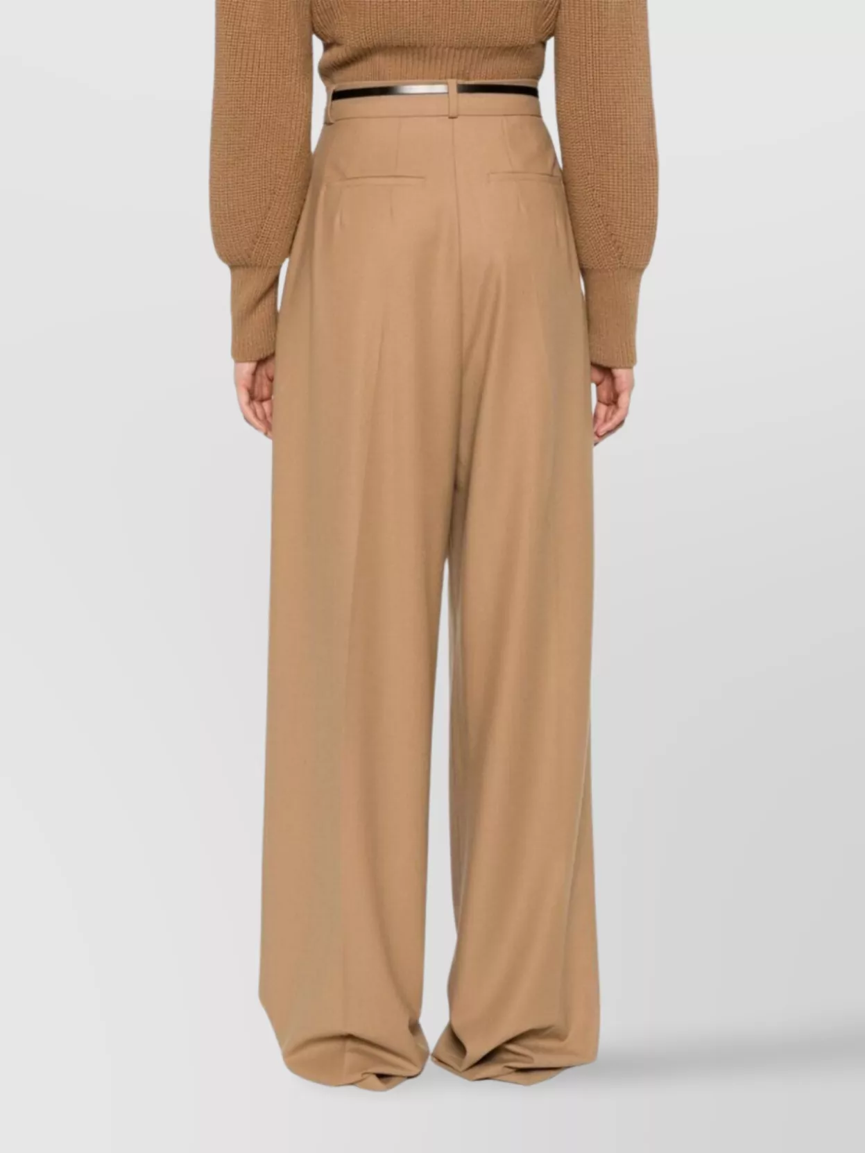 Sportmax High Waist Wide Leg Trousers With Pleats