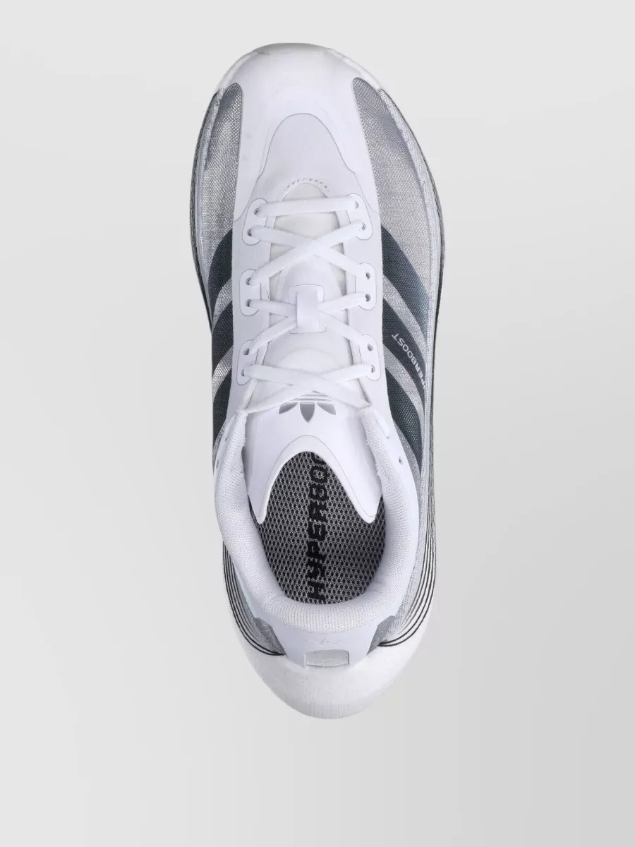 Adidas Low Top Sneakers