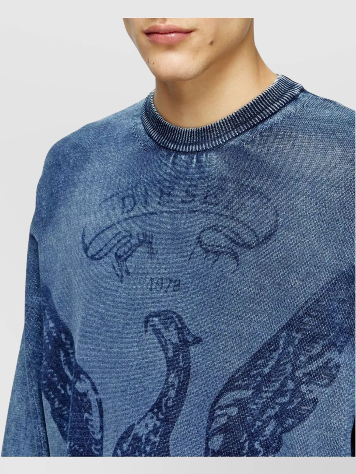 Diesel Phoenix Graphic Crewneck Sweater With Washed Effect In Blue