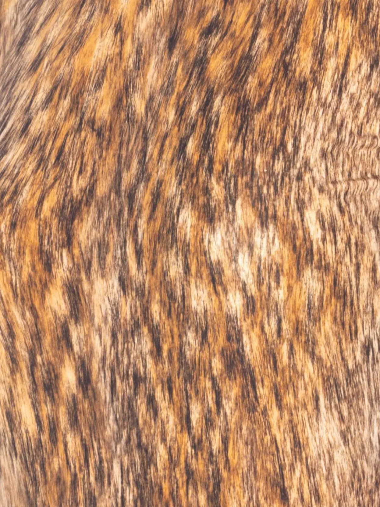 Mm6 Maison Margiela Animal Print Crewneck Long Sleeves Top