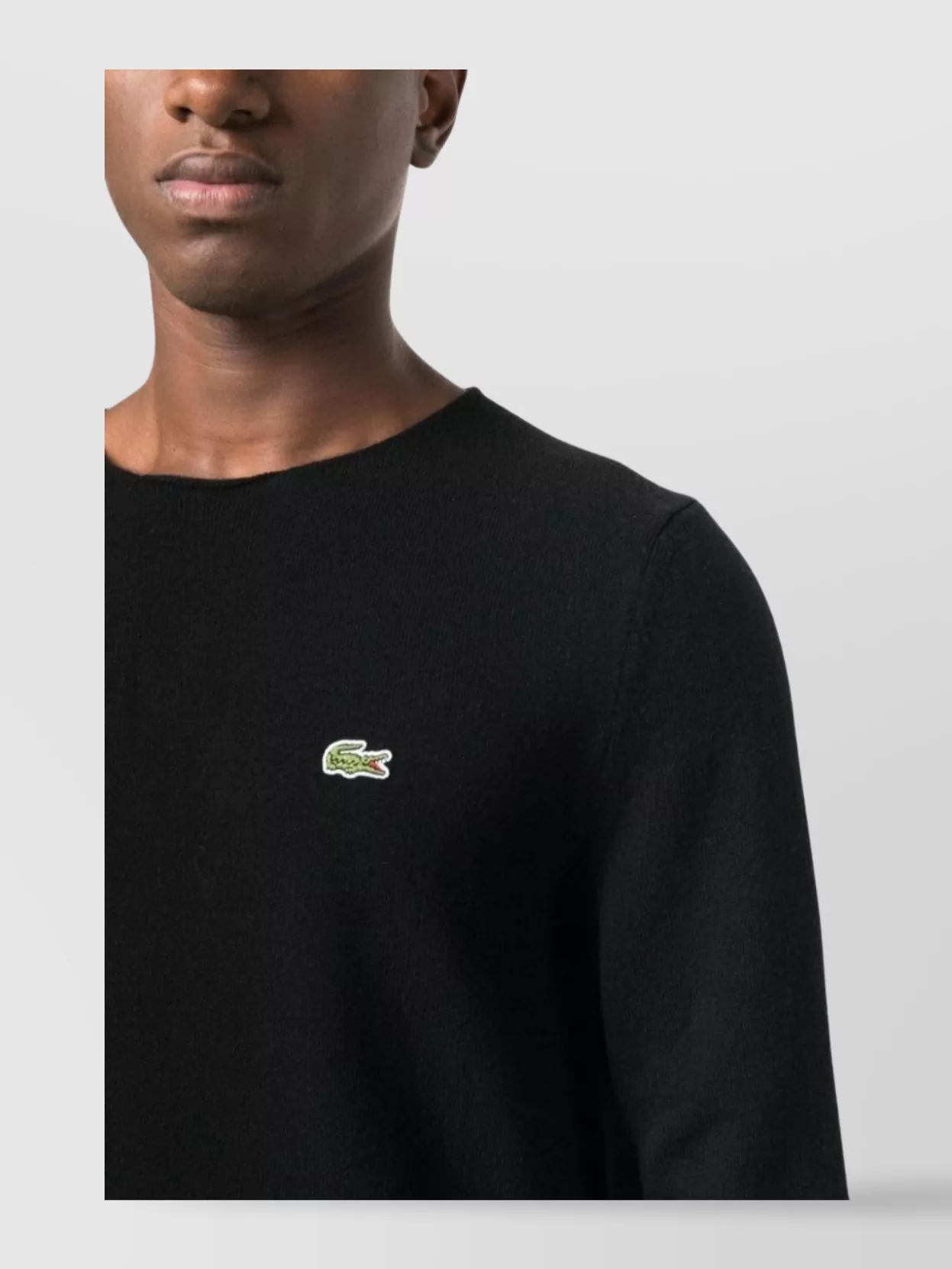 Comme Des Garçons Lacoste Crew Neck Long-Sleeve Sweater