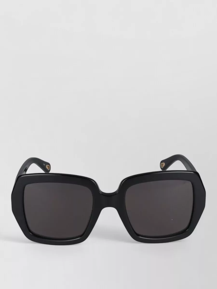 Chloé Acetate Sunglasses
