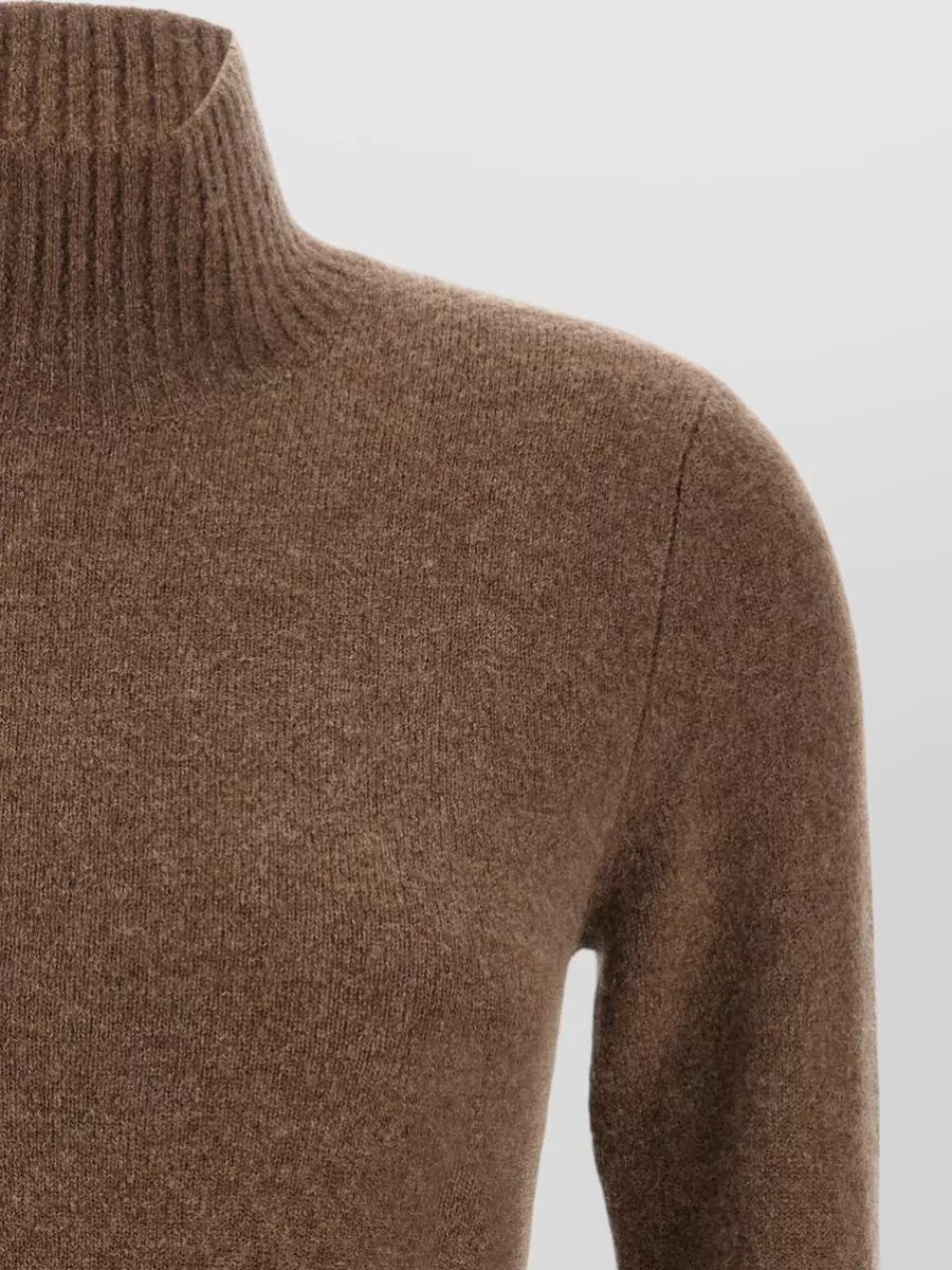 Max Mara Cashmere Ribbed High-Neck Long-Sleeve Mini Dress