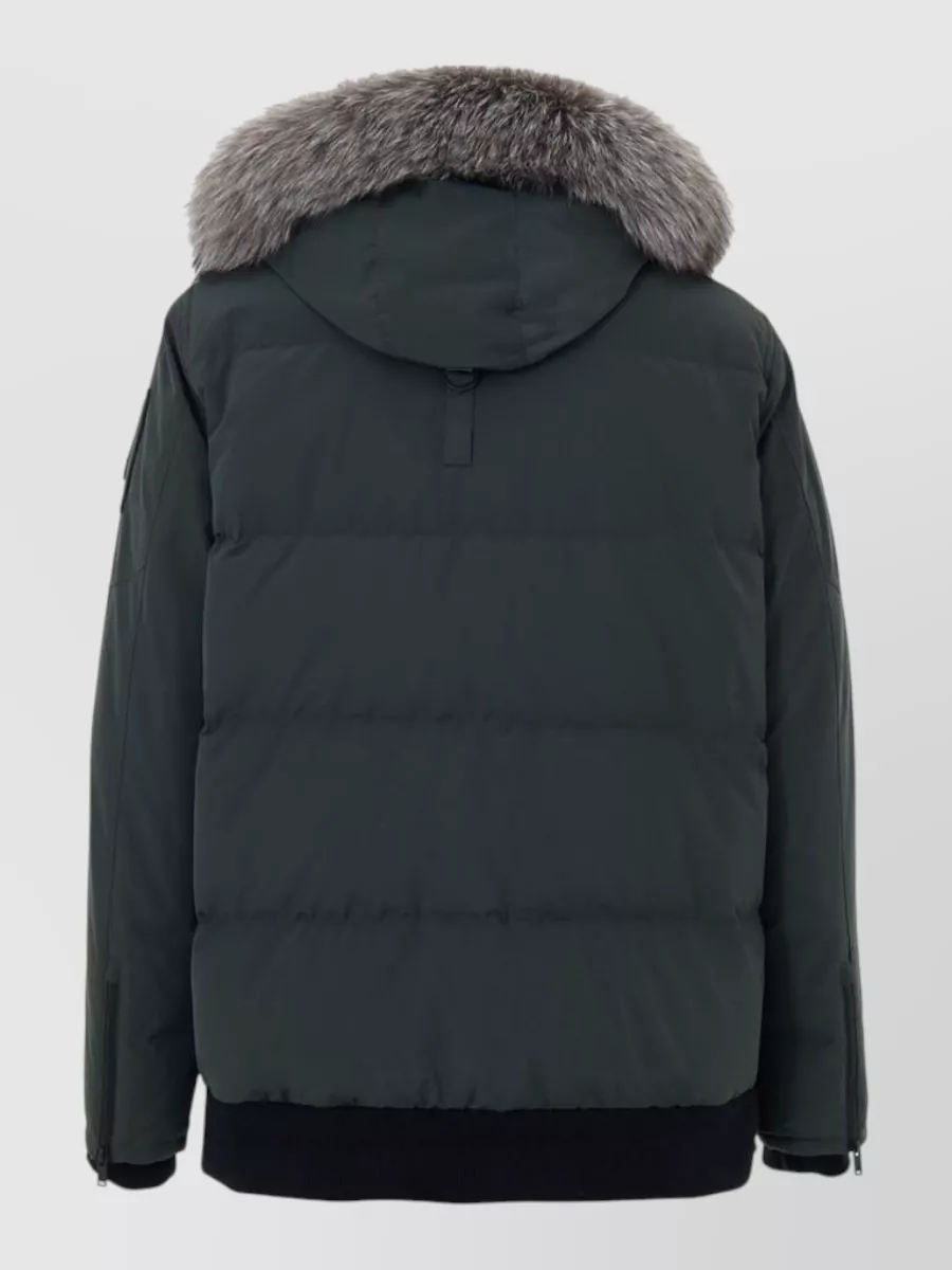 Moose Knuckles Nylon Padded Parka