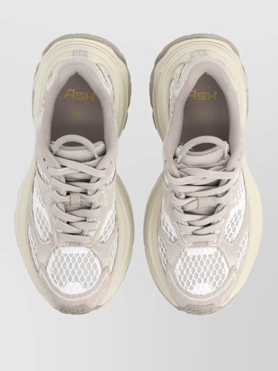 Ash Leather Low-Top Sneakers
