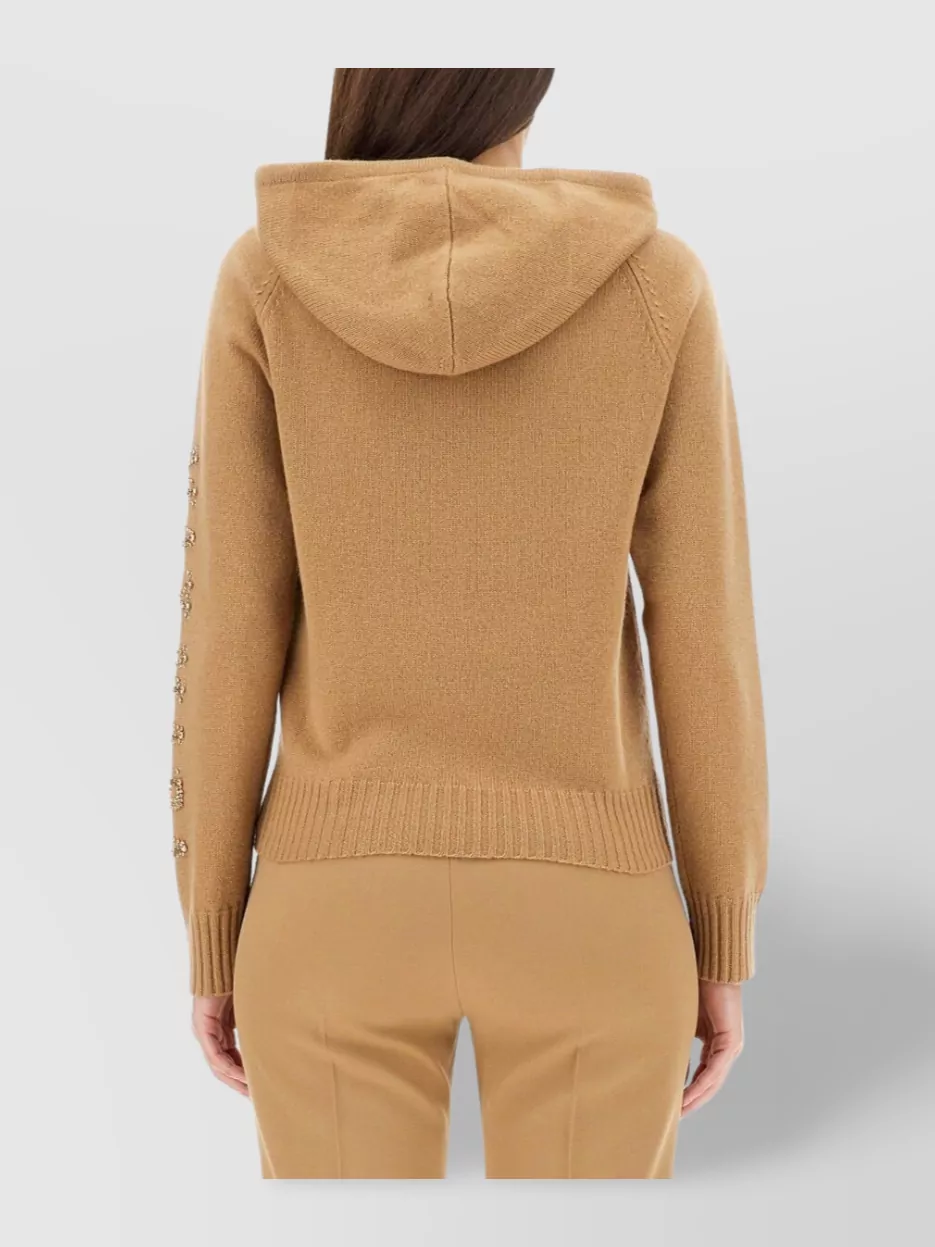 Max Mara Hooded Sweatshirt With Drawstring And Embellished Sleeves In Brown