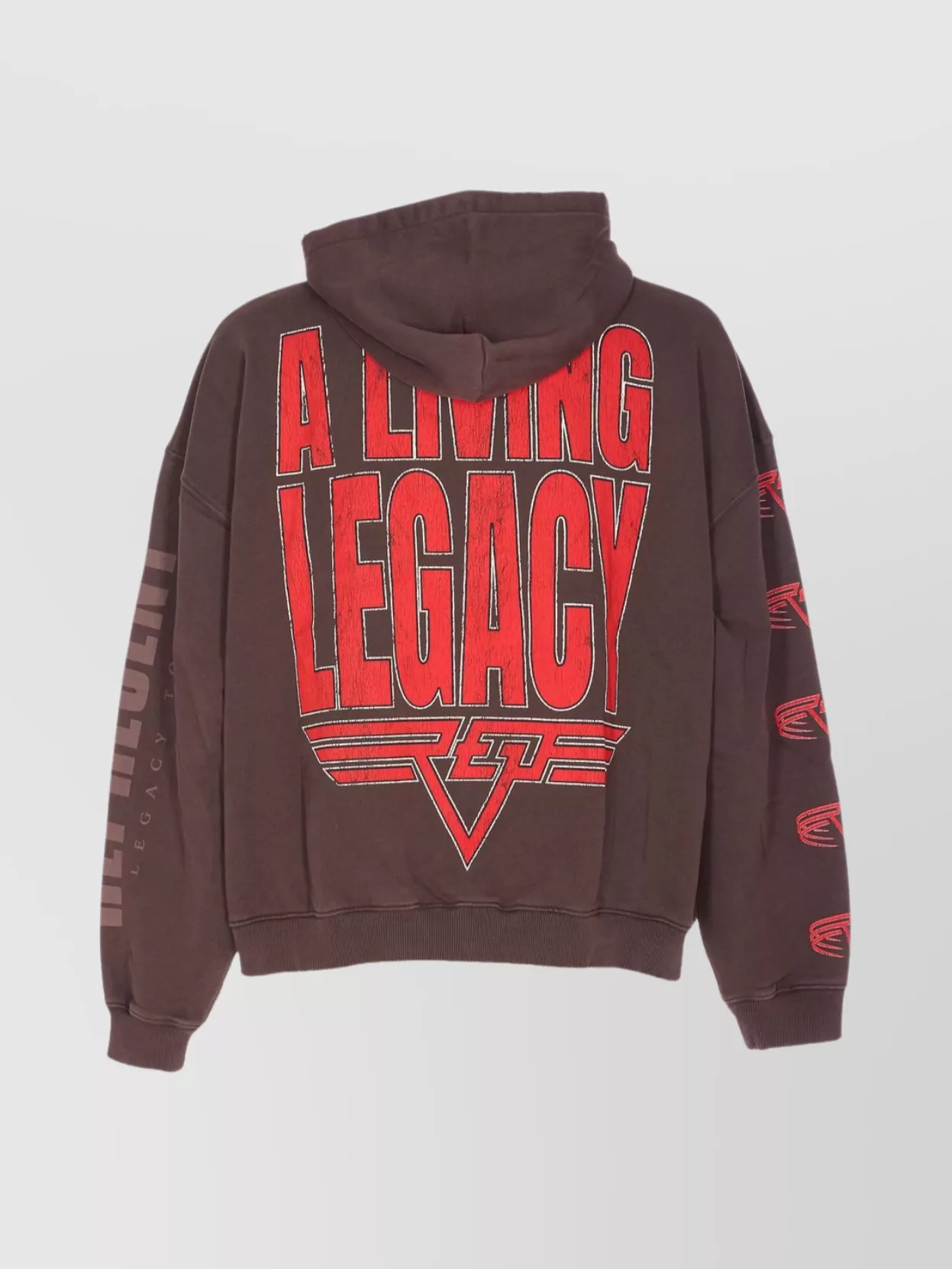 Represent Hooded Graphic Print Sweater And Pocket