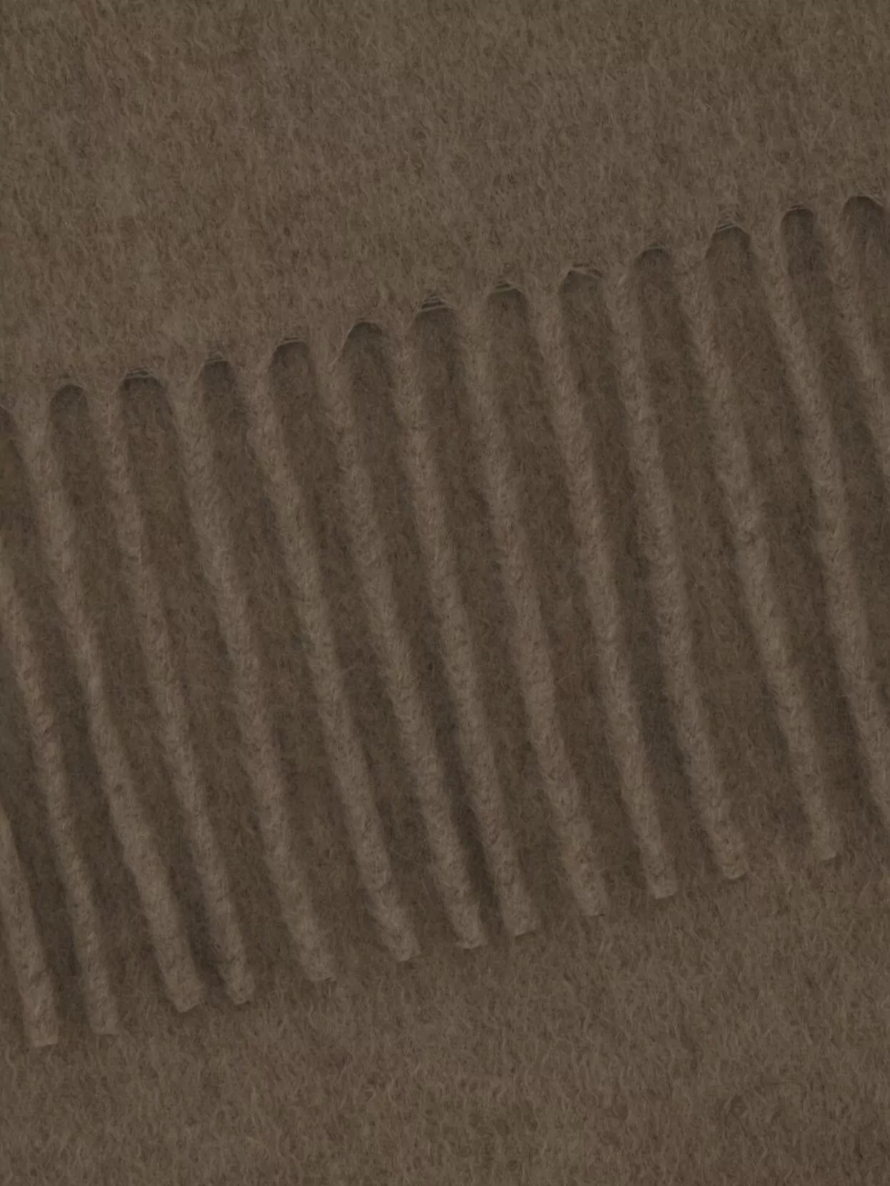 Max Mara Cashmere Scarf Featuring Fringed Edges