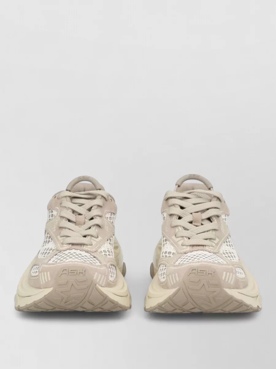 Ash leather low-top sneakers