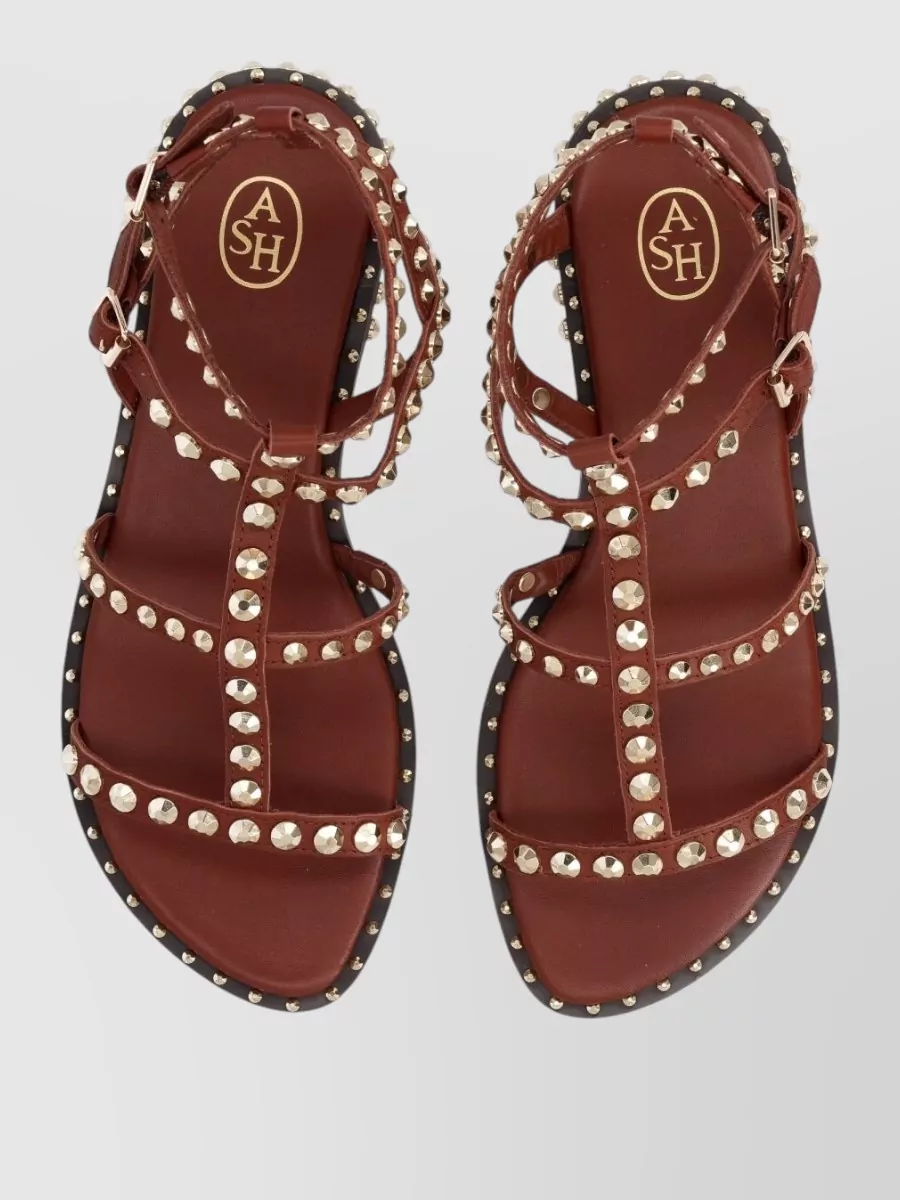 Ash Leather Gladiator Sandals