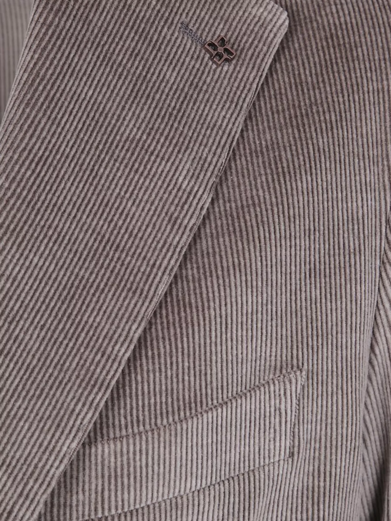 Tagliatore Structured Men's Jacket With Notch Lapel