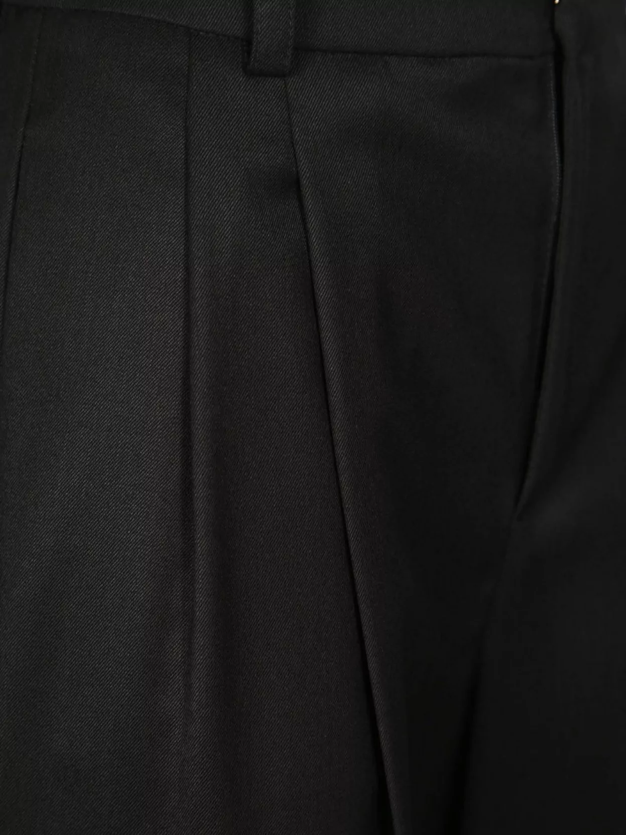 Elisabetta Franchi Trousers With Pleated Front And Pockets