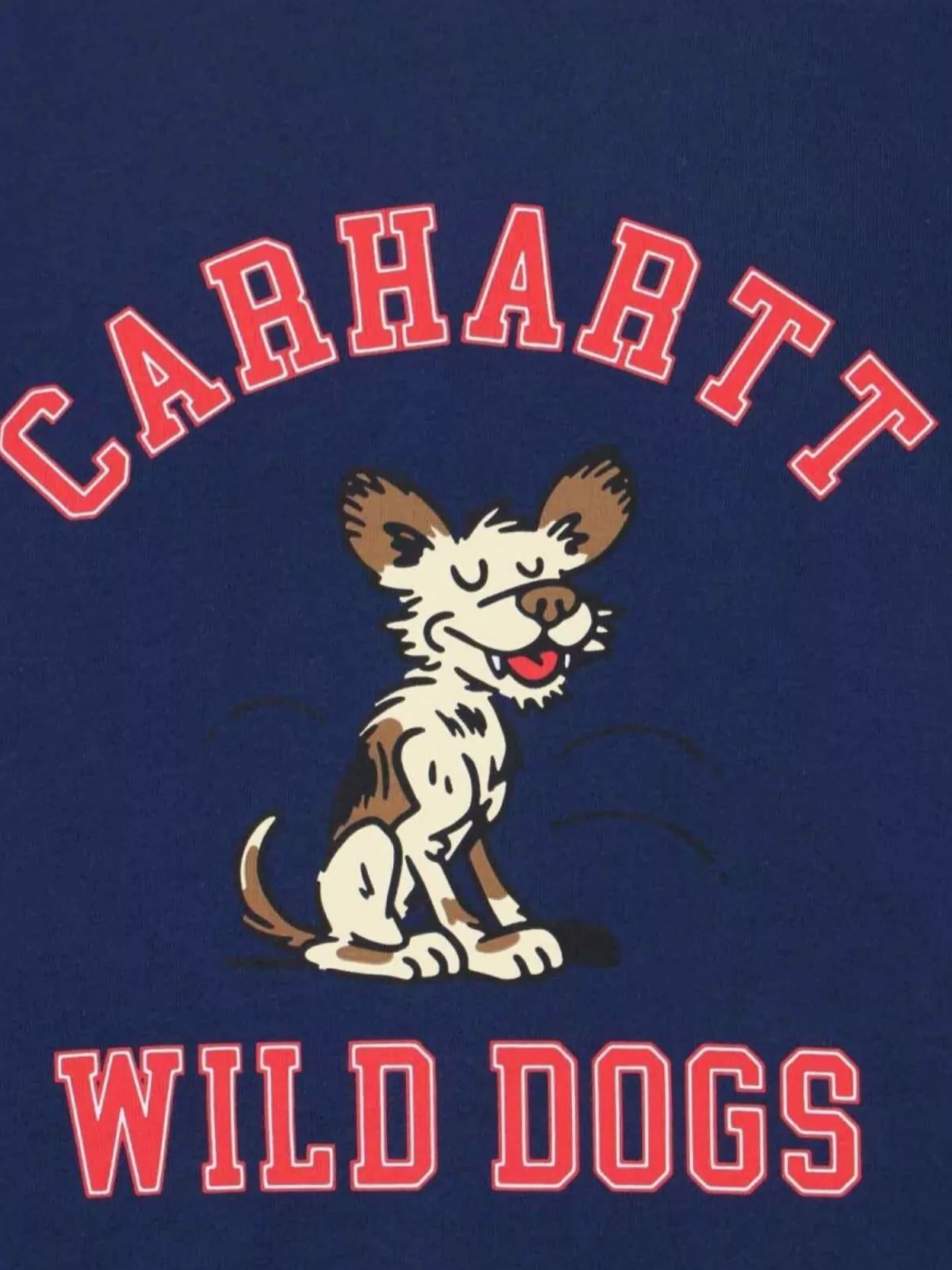 Carhartt Wip Graphic Print Crew Neck Short Sleeve Top