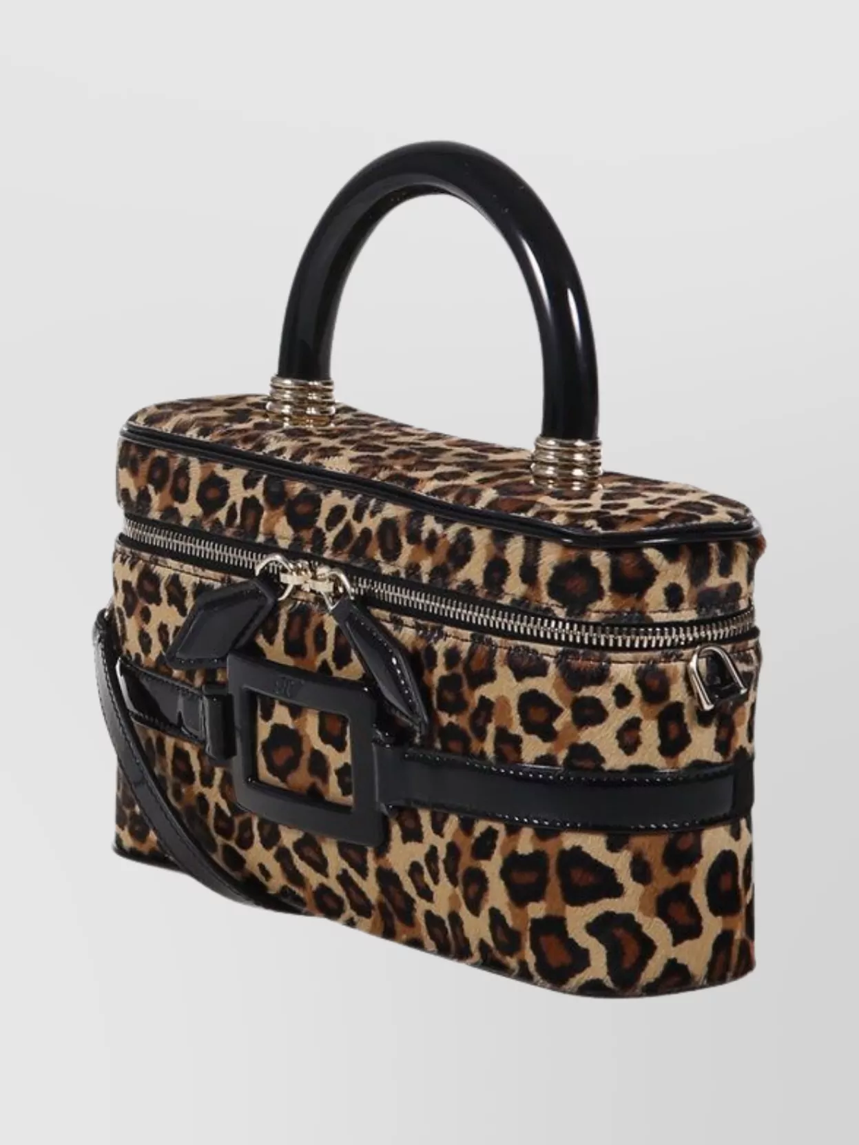 Roger Vivier Mini Vanity Bag Buckle Detail