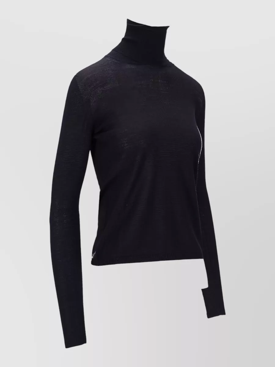 Max Mara Knitwear Long Sleeve Slim Fit Turtleneck Top