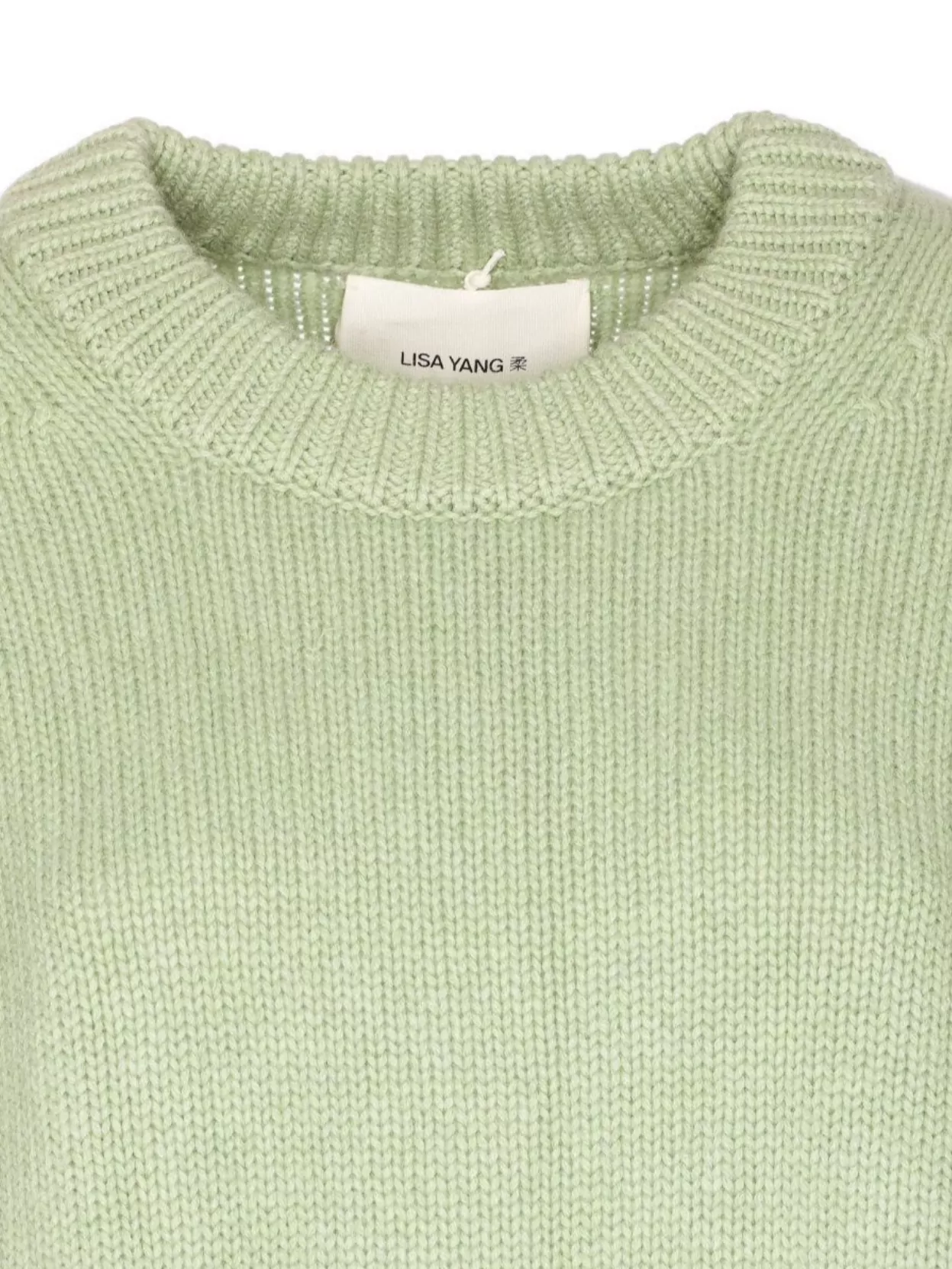 Lisa Yang Soft Knit Crewneck Long Sleeve Sweater In Green