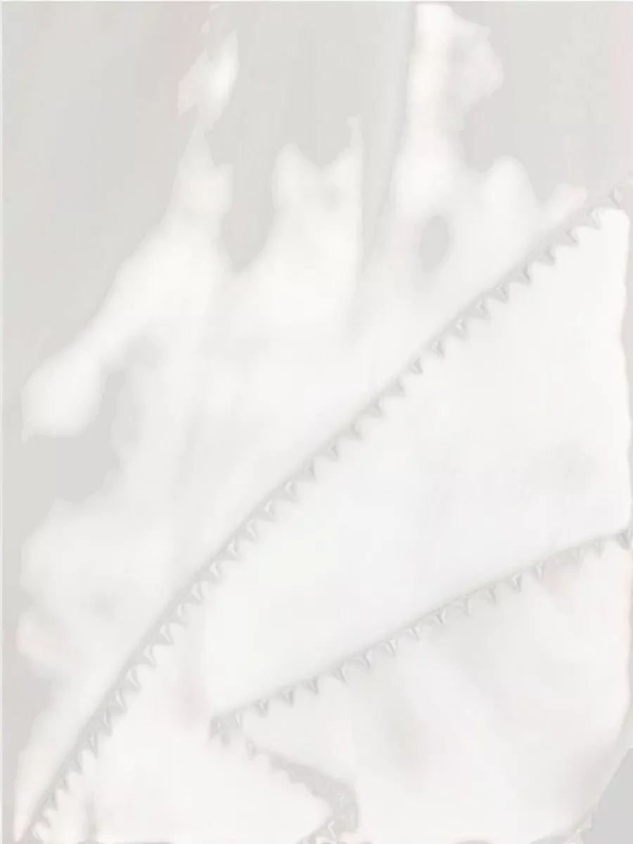 Jacquemus Cotton Layered Mini Dress