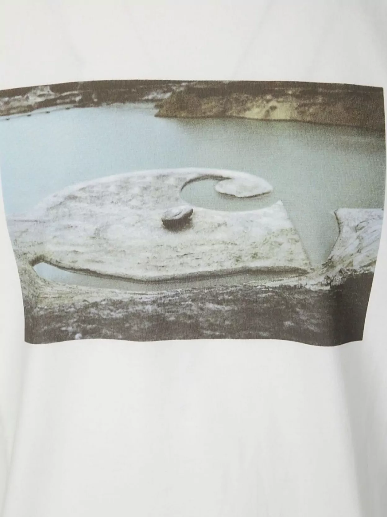 Carhartt Wip Crew Neck Graphic Print Short Sleeves