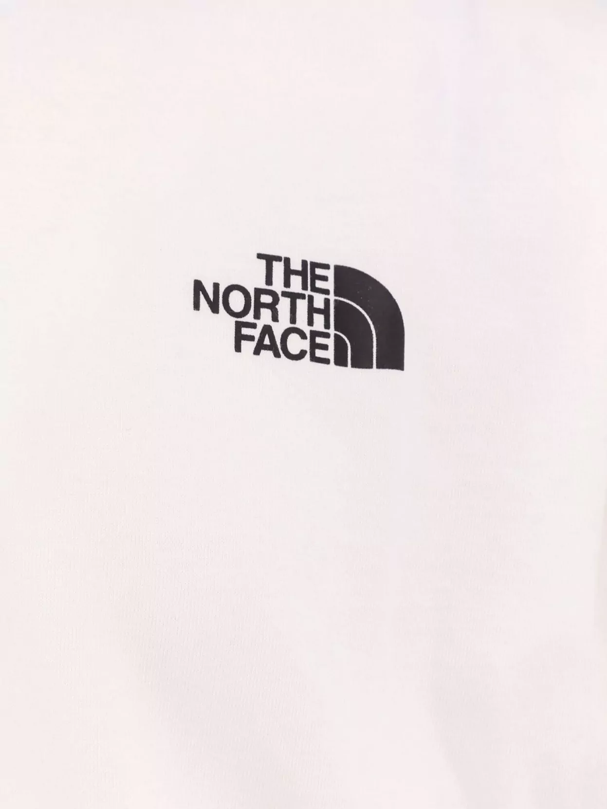 The North Face Oversized Unisex Cotton T-Shirt With Iconic Embroidery