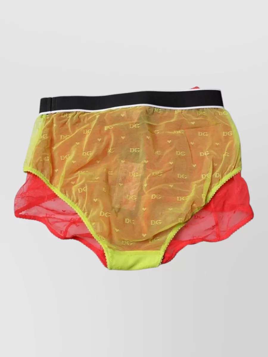 Dolce&Gabbana Mid-Rise Tulle Briefs