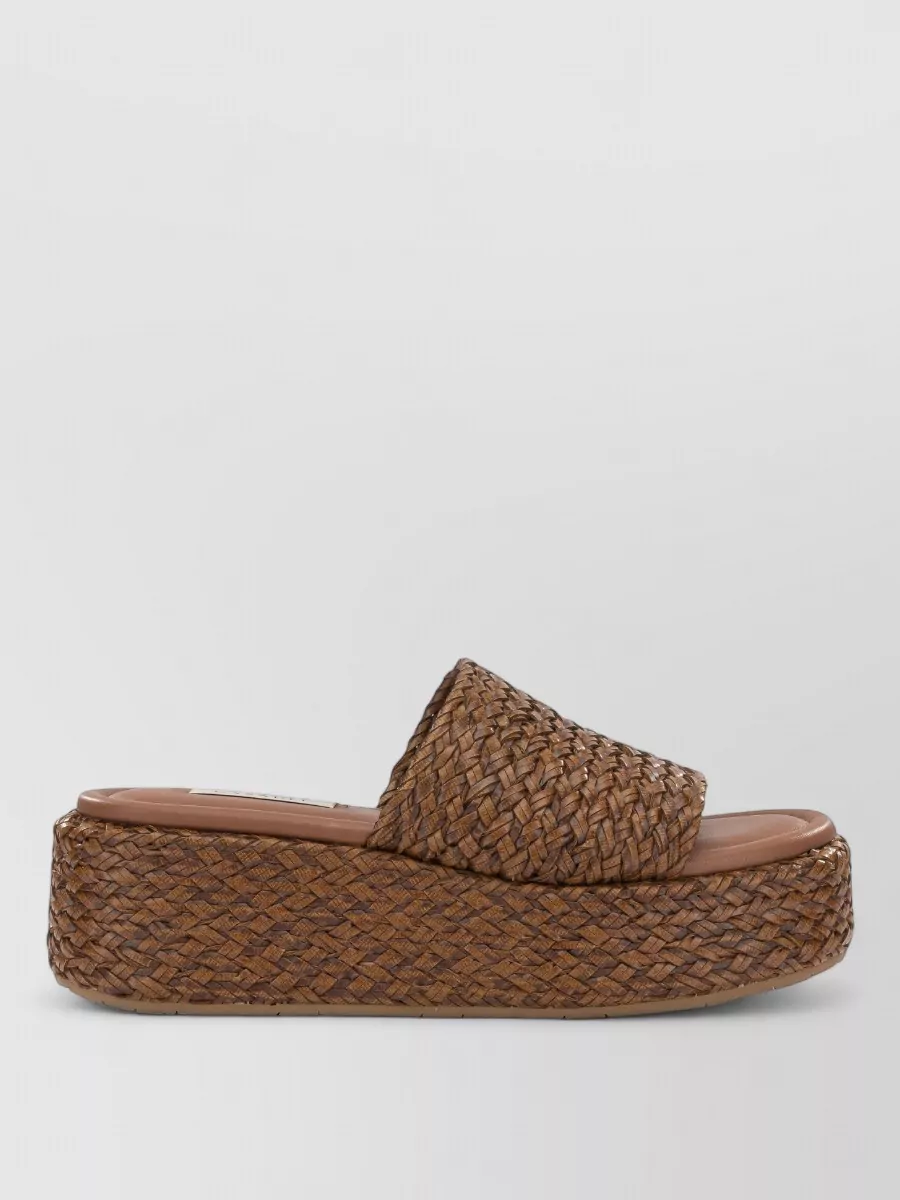 Casadei Slides