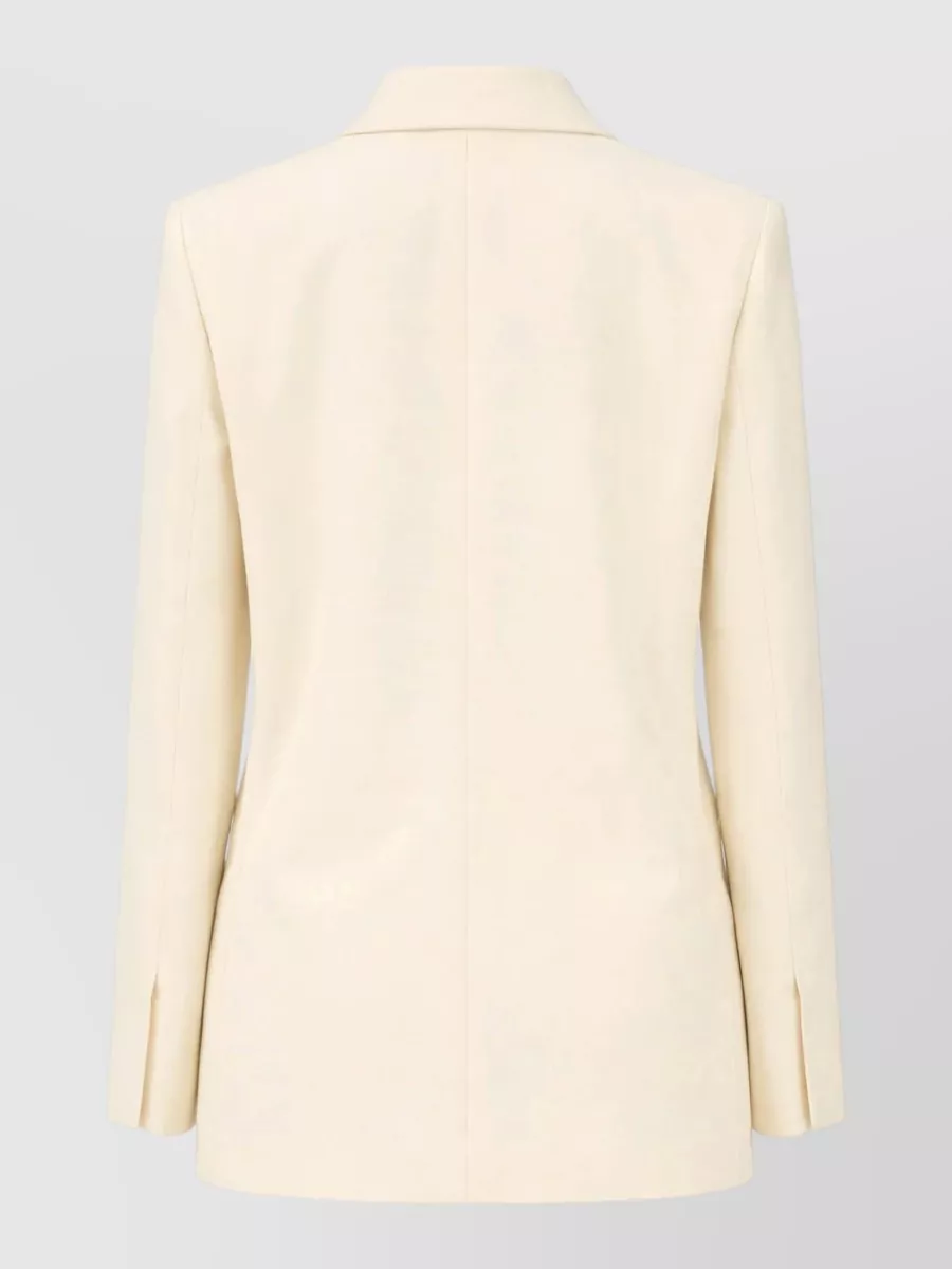 Pinko Single-Breasted Blazer