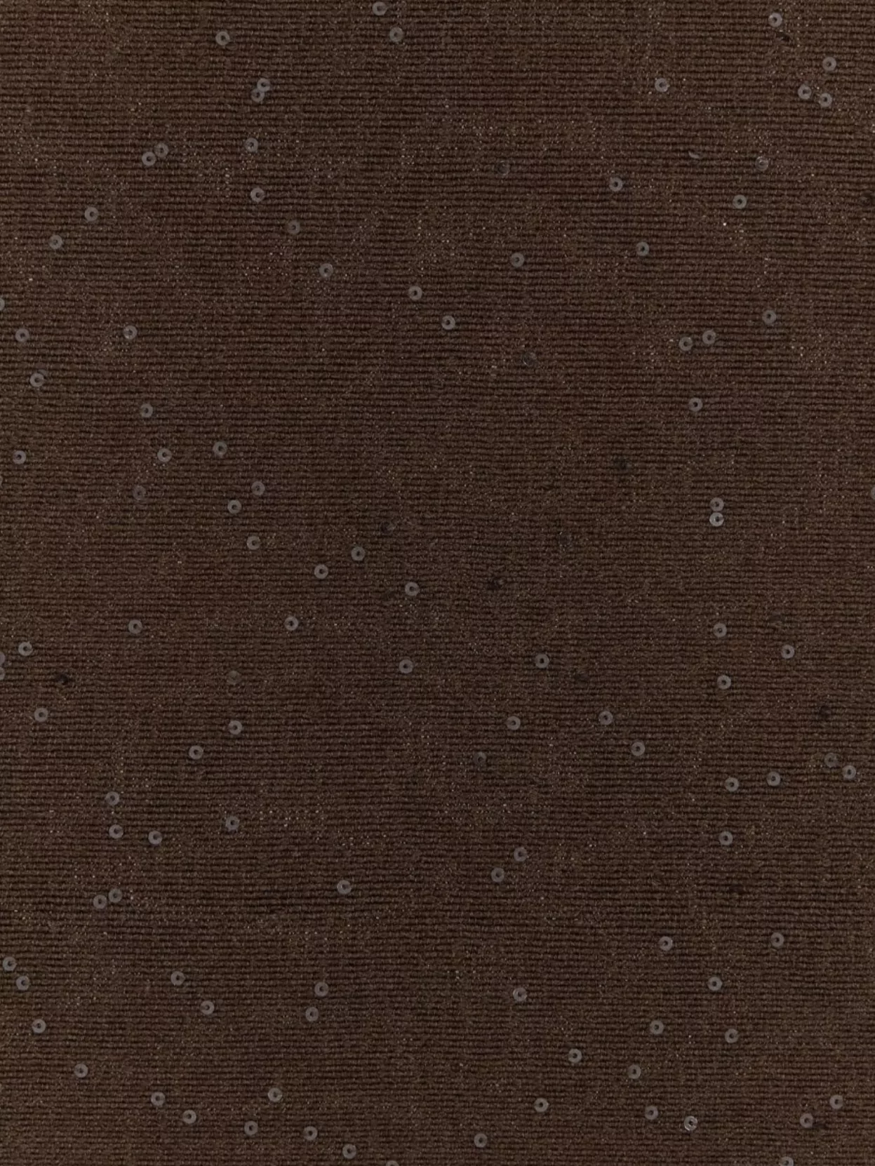 Brunello Cucinelli Sequin Embellished Fringed Scarf