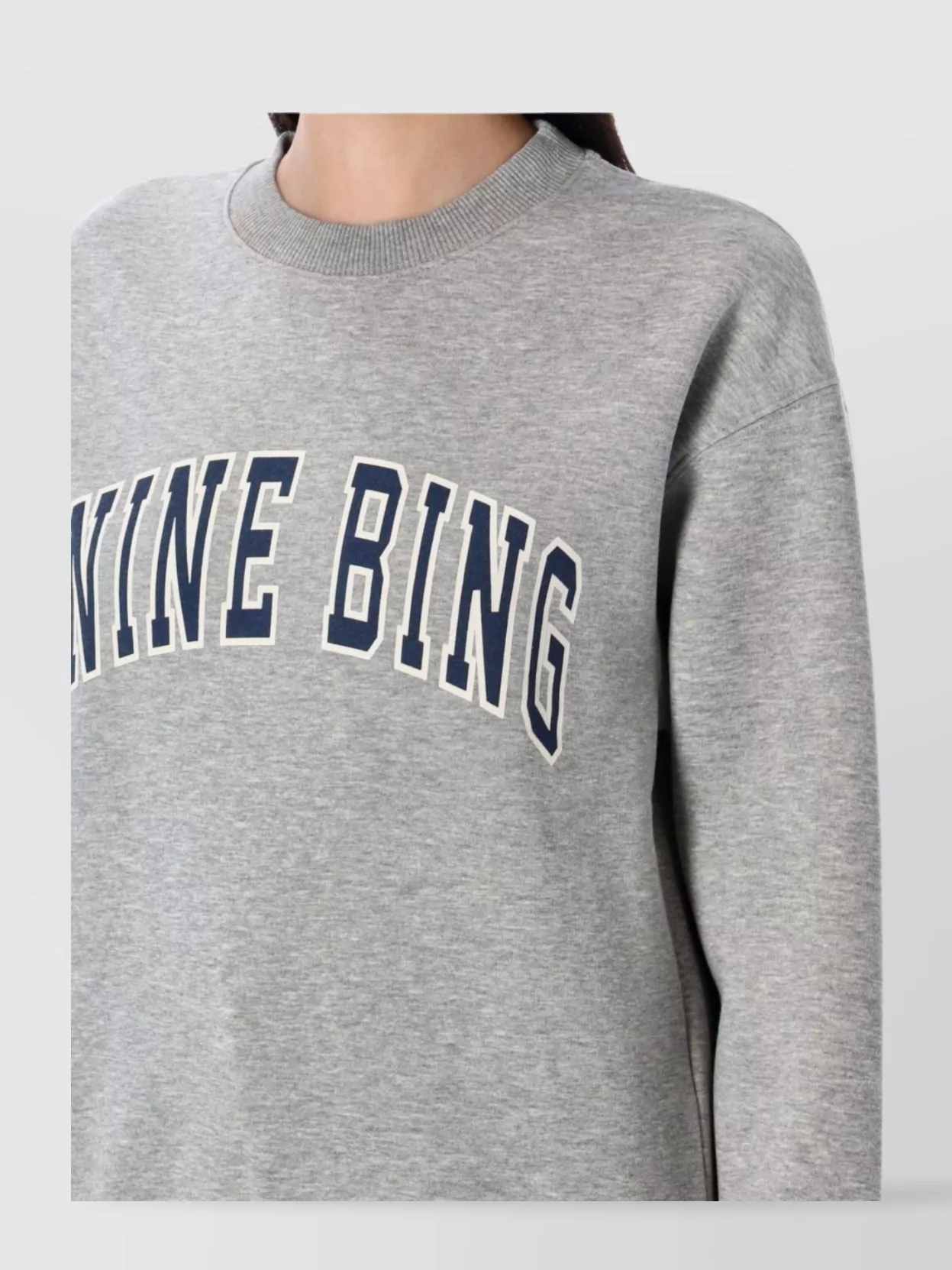 Anine Bing Spencer Printed Cotton-blend Jersey Sweatshirt In Gray
