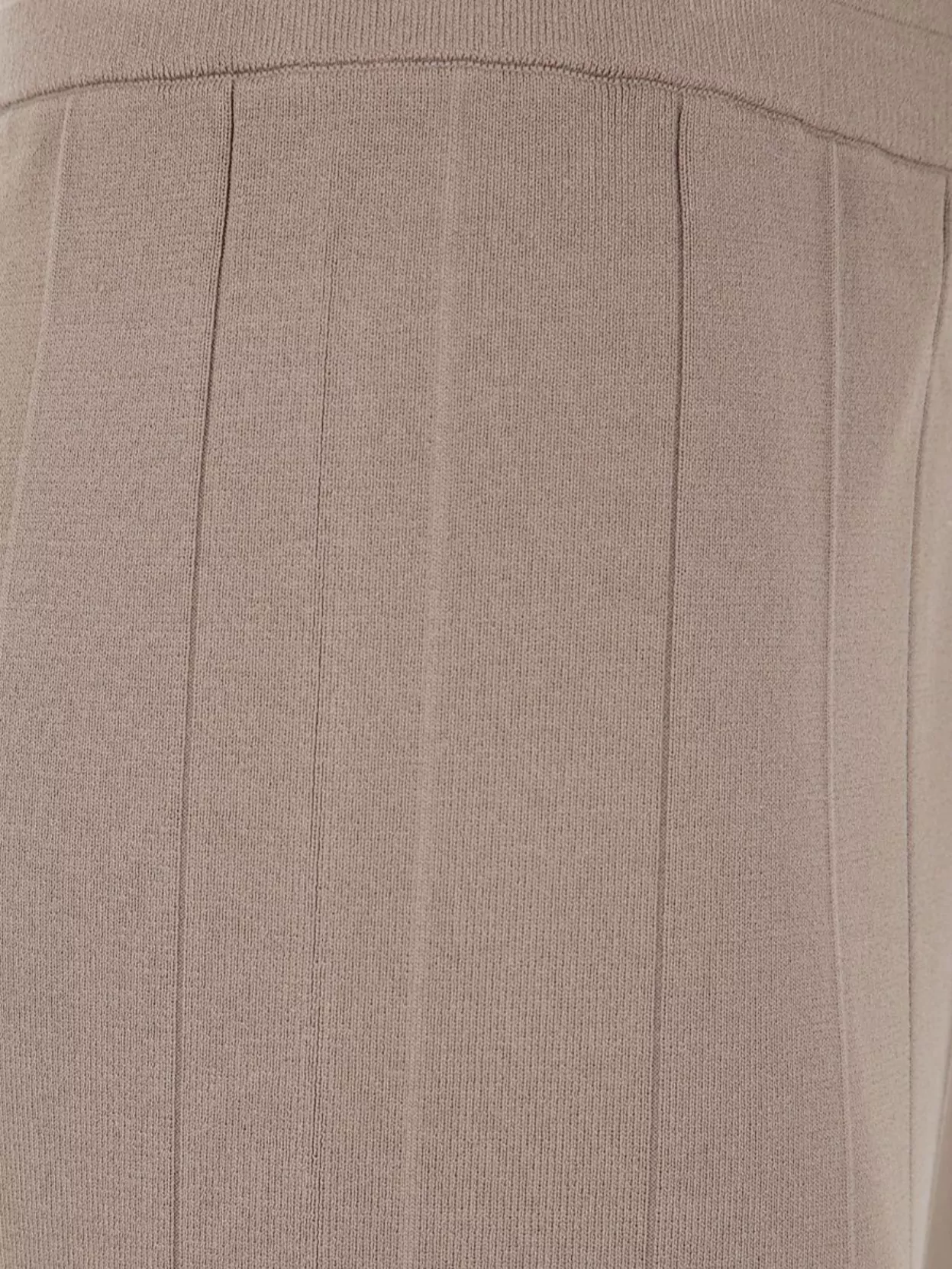 Max Mara Elastic Waistband Wide Leg Pleated Trousers In Brown